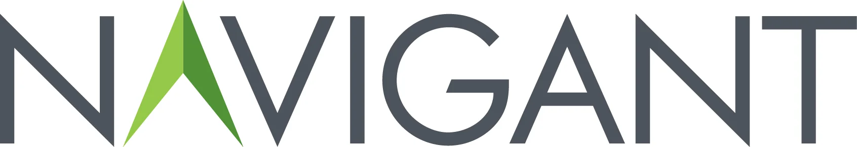 Navigant 3.jpg