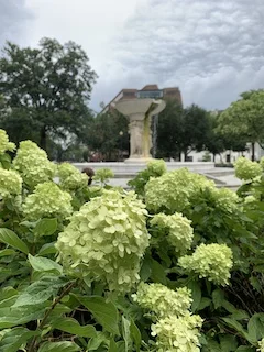 IMG_9213.JPG
