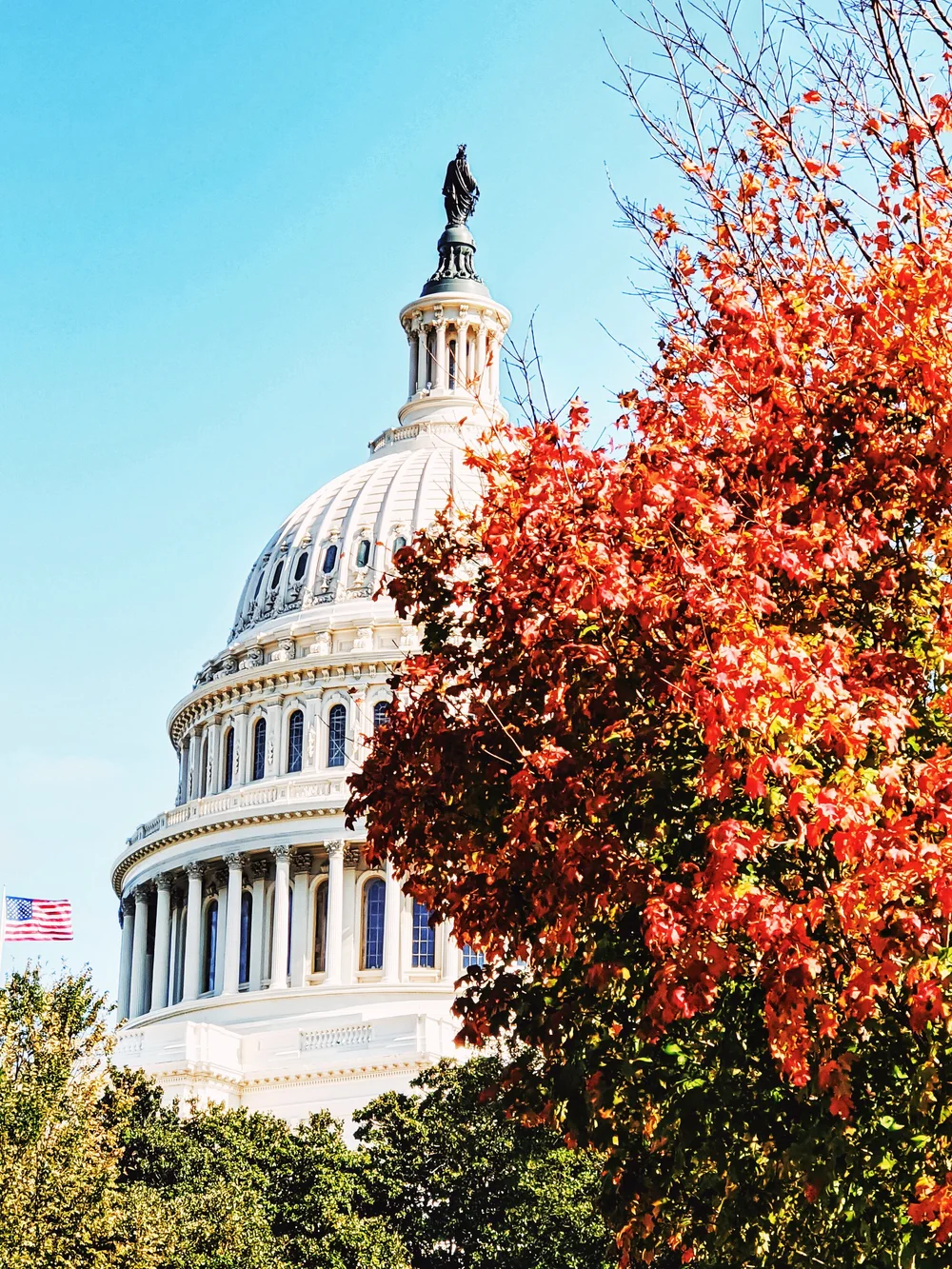 2019-11-01 07.10.34 1-01.jpeg