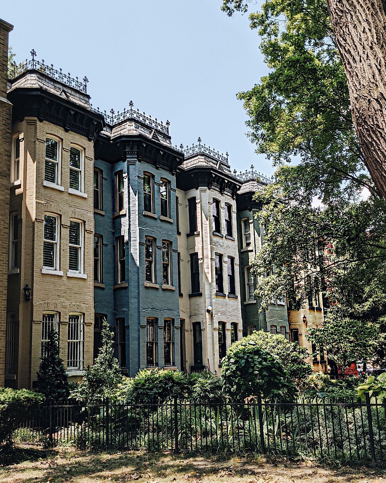 Painted ladies all in a row. Still ahead another week of heat, but I think we&rsquo;ve turned the corner on summer!  Happy Sunday!

.
.
.
#cornersofmyworld #washingtondc #igdc #mydccool #seemycity #sidewalkerdaily#iwalkedthisstreet #myseasonalstory #