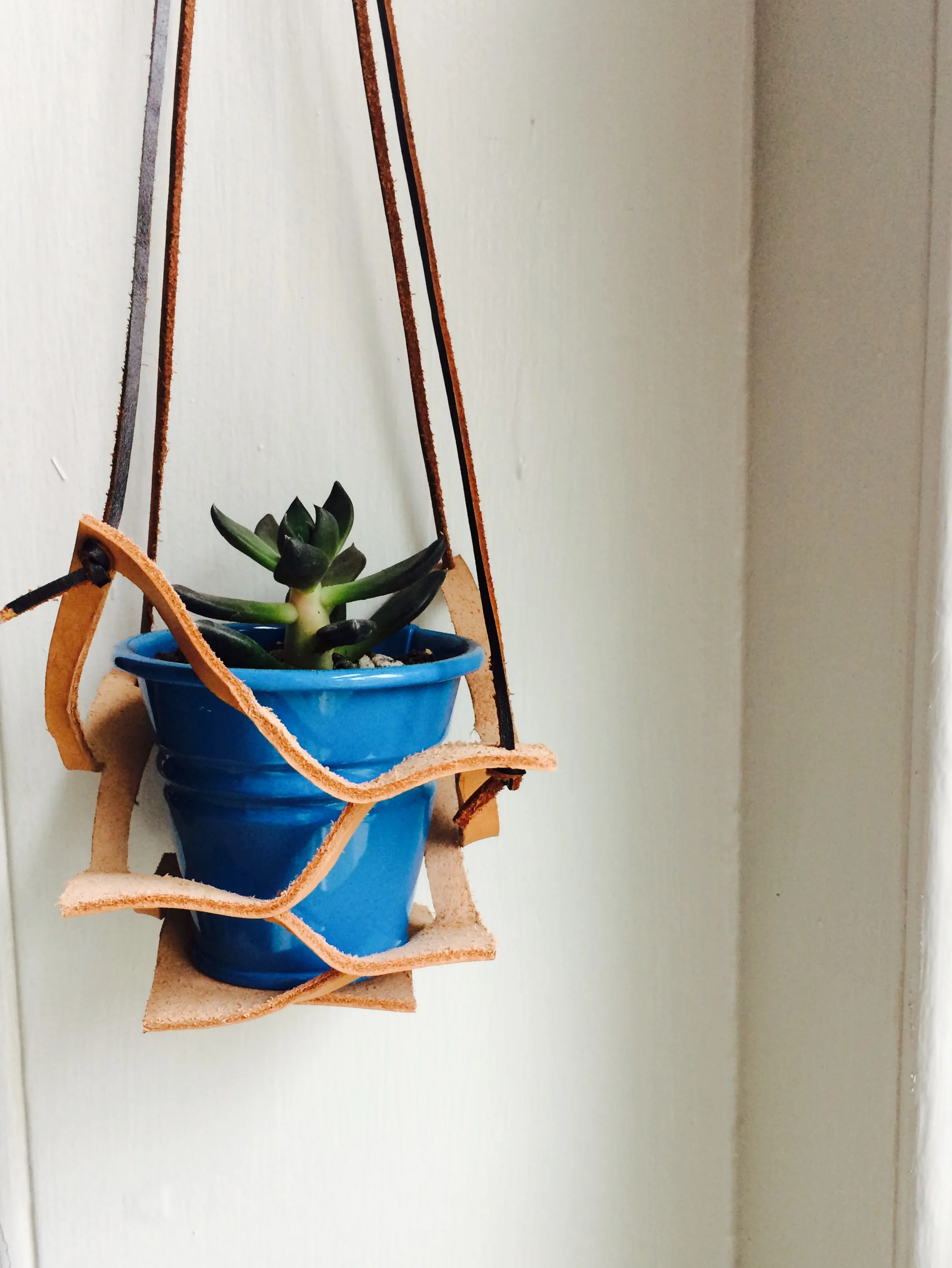 Lotus Hanging Planter