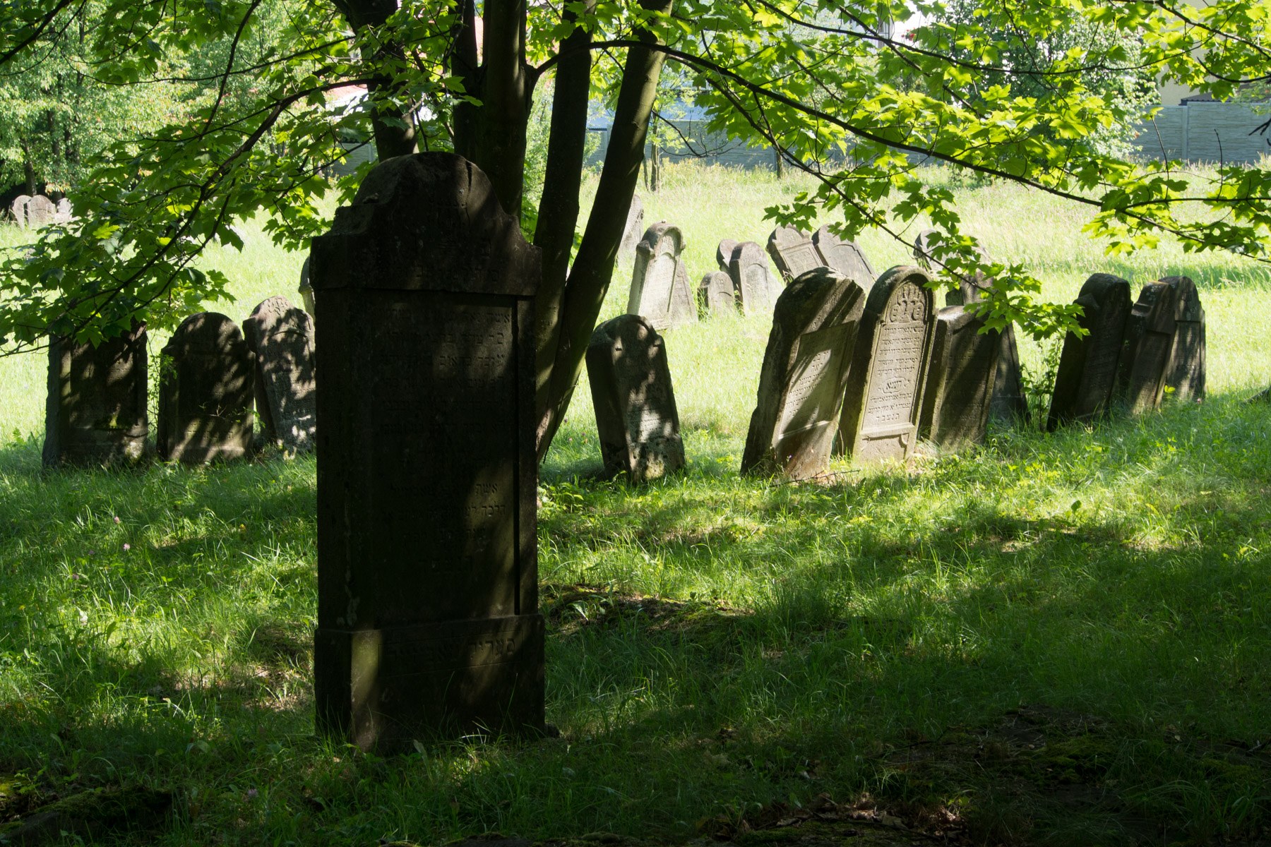 Restored cemetery near Krosno