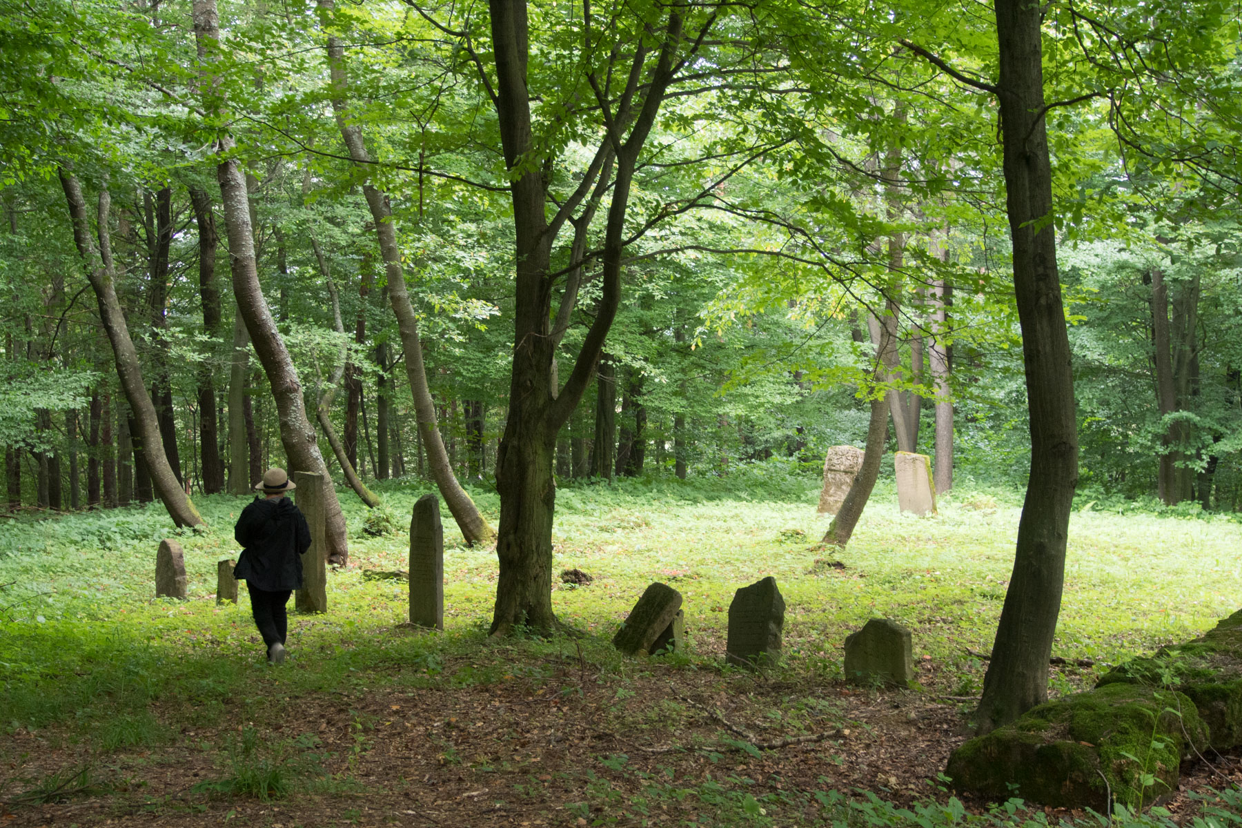 Restored cemetery in Bukowsko