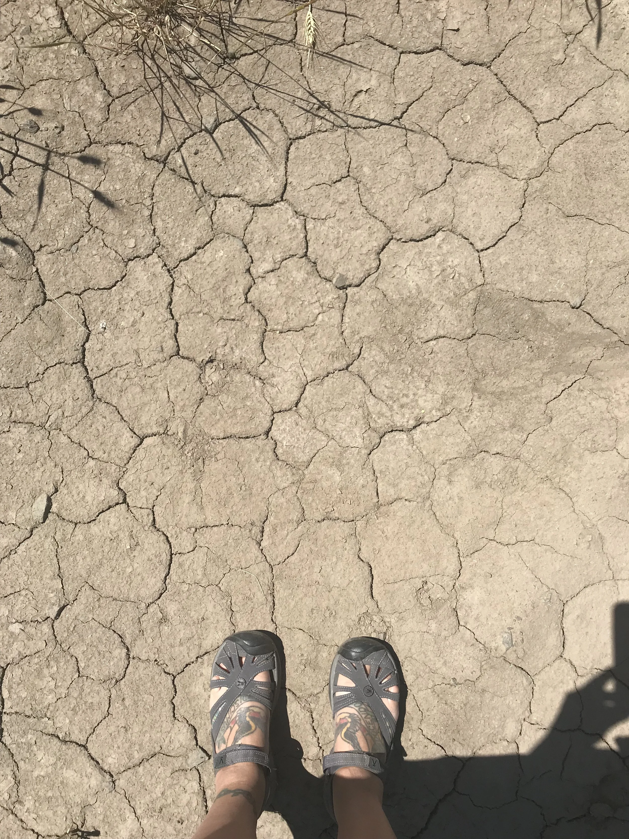 2018-06-26_11-44-20_048.jpeg