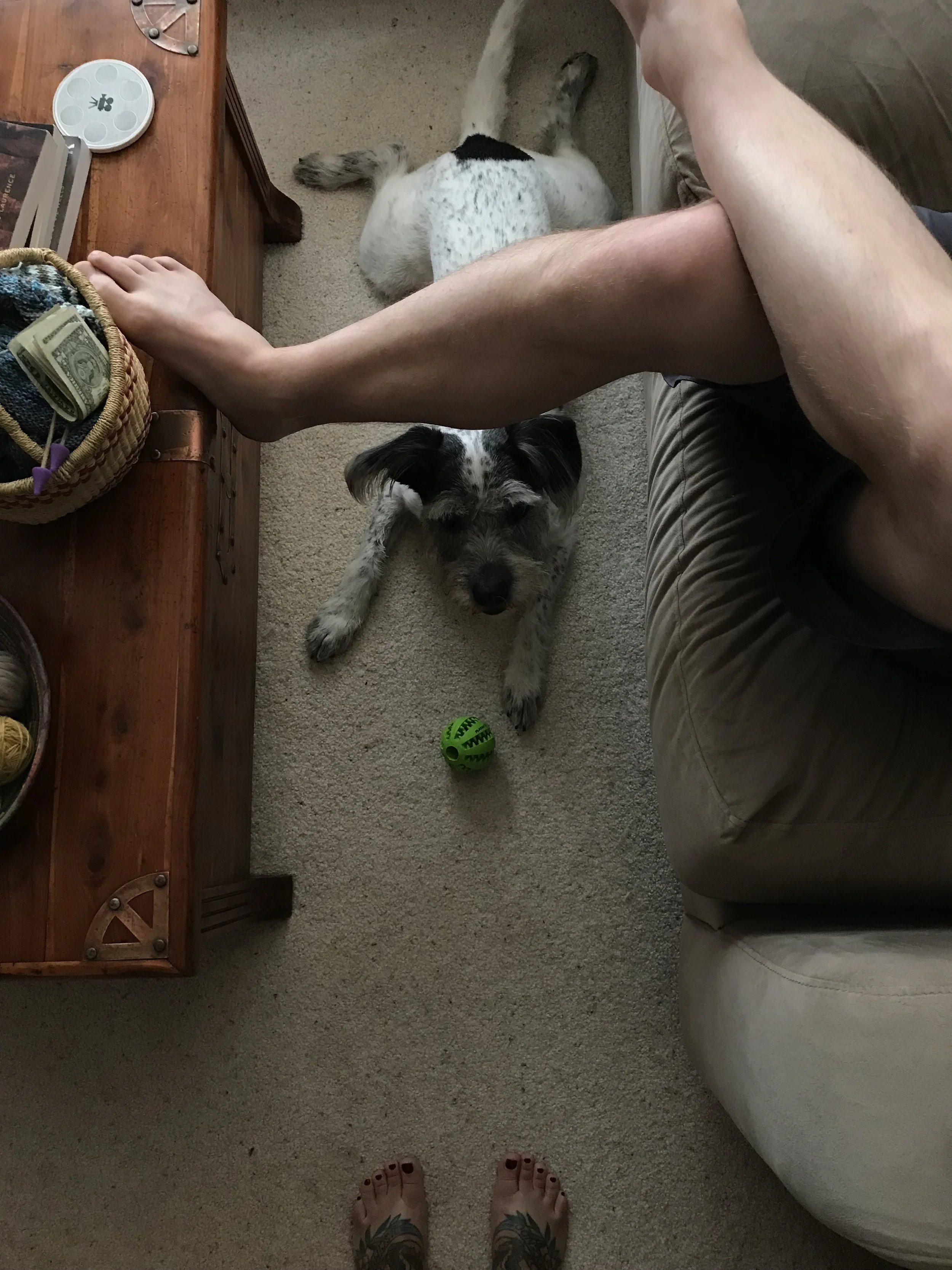 2018-07-10_12-07-24_357.jpeg