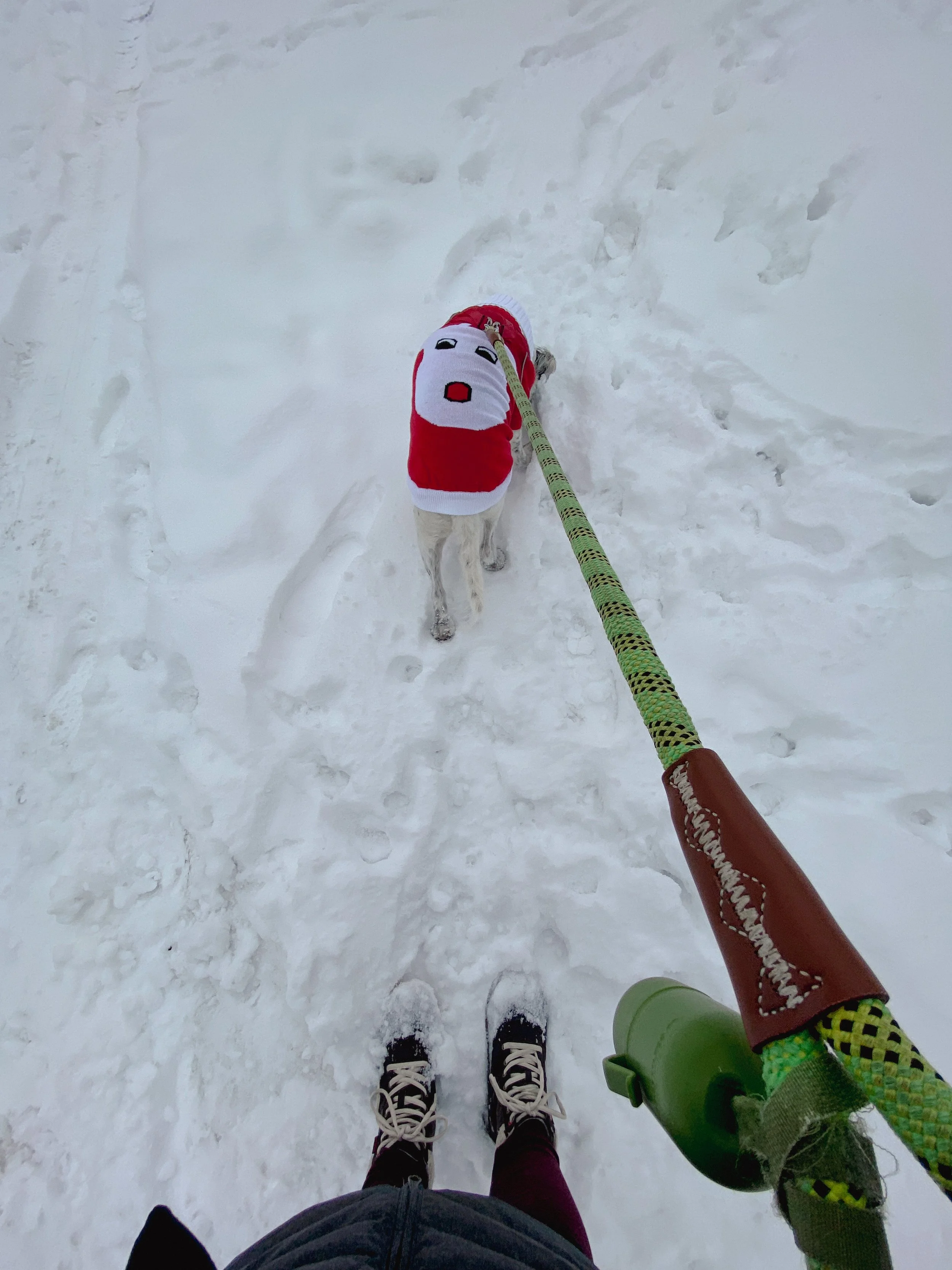 2021-12-25_12-14-43_513.jpeg