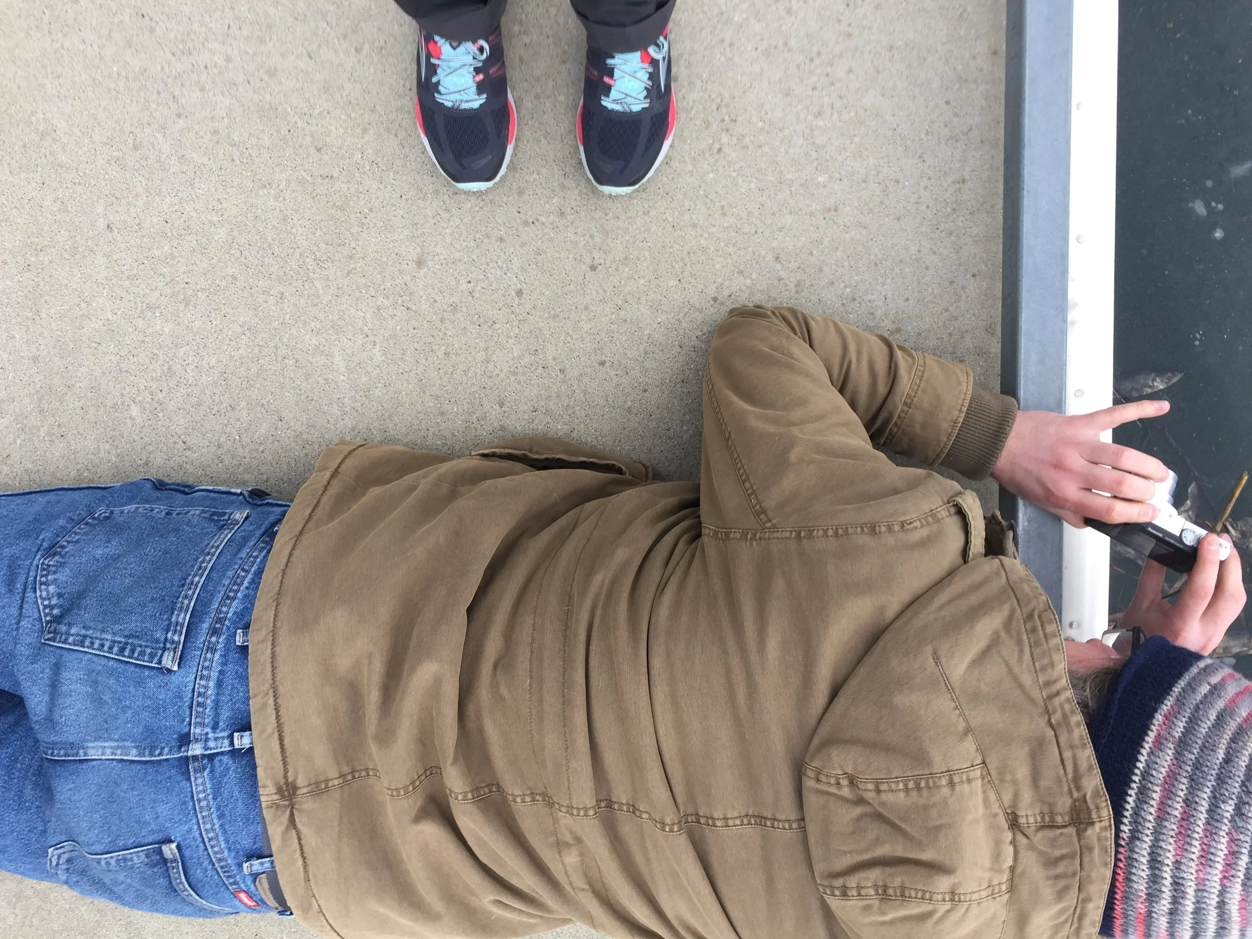2017-02-25_16-11-29_186.jpeg
