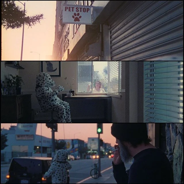 @chapisdude quirky music video ”The First Day” 🐶
#shotonfilm
Director @locanilla |
DP @hass_avocado |
Edit @ethanbleach |