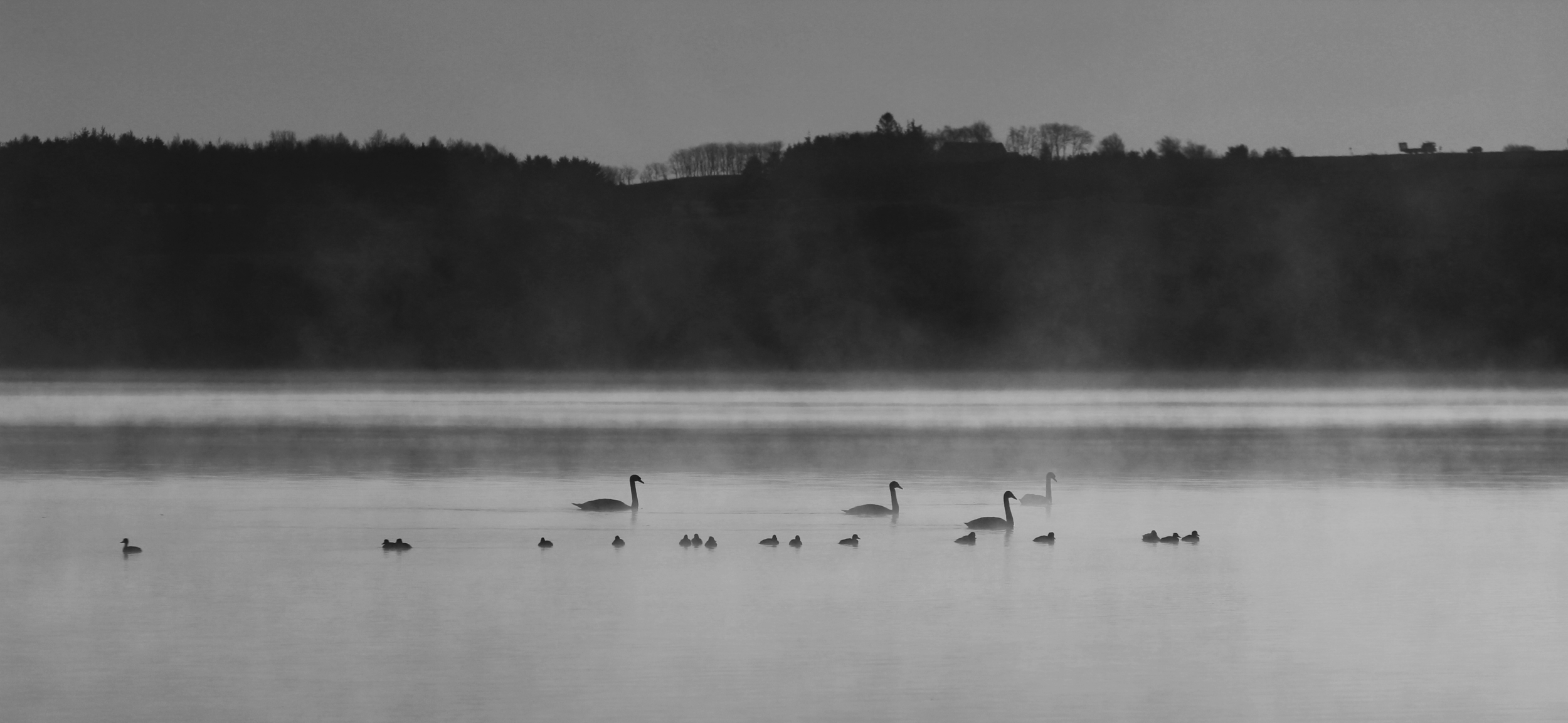 IMG_0860_BW.png