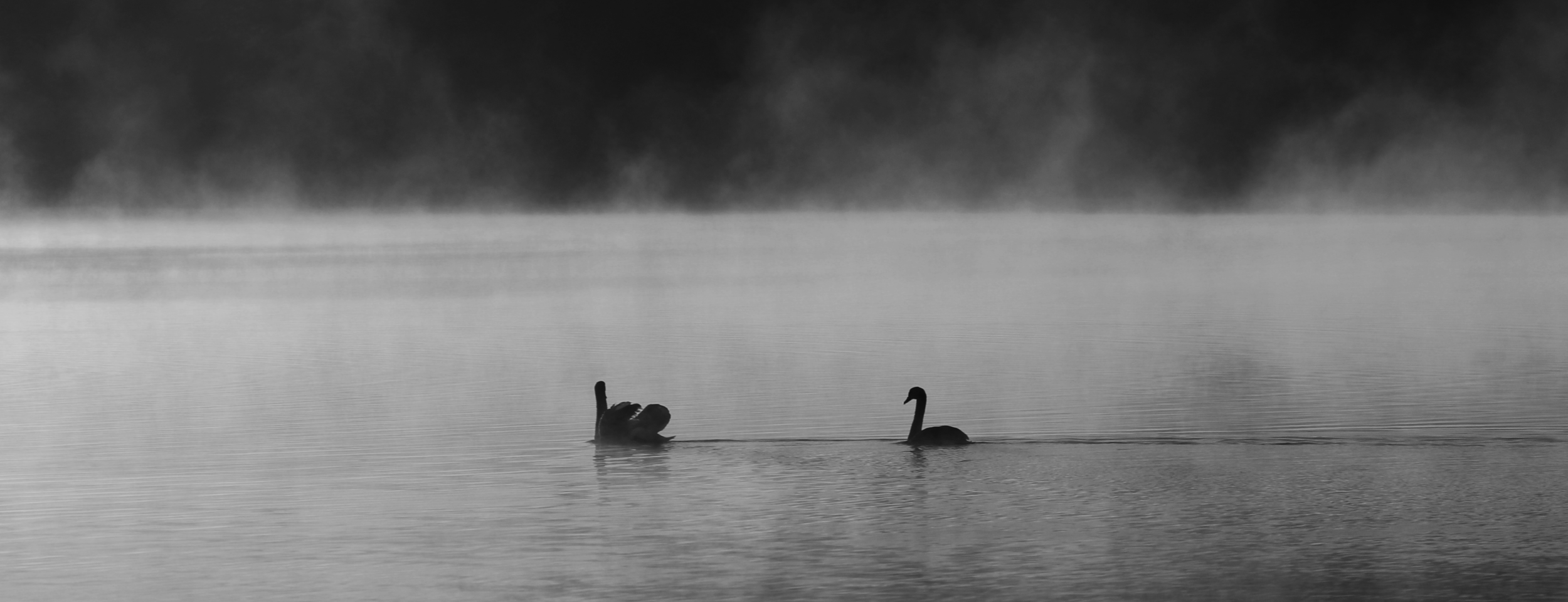 IMG_0891_BW.png