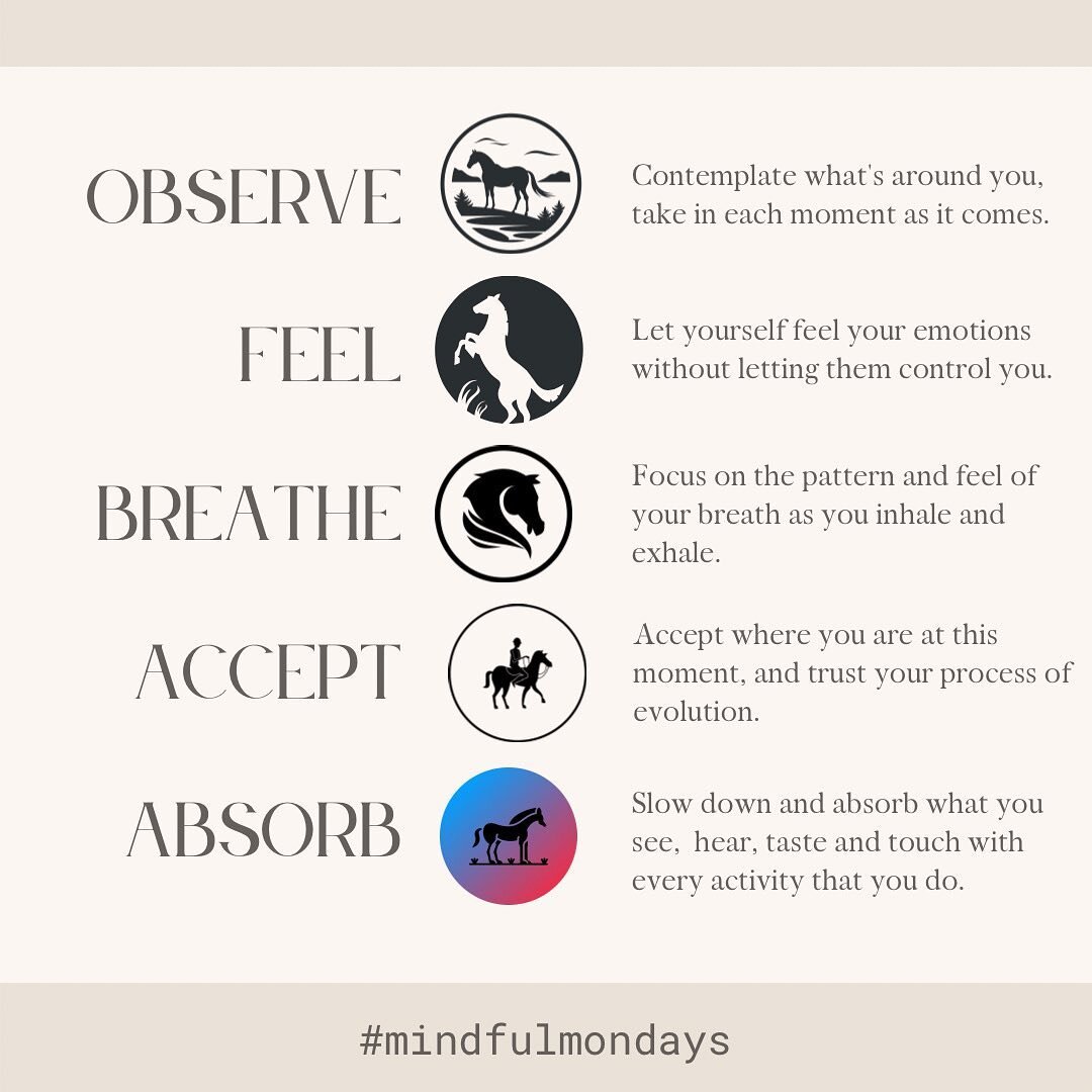 What are you doing practice mindfulness or be present today? #mindfulmonday #serenityinstrides #equineassistedtherapy #equinefacilitatedmentalhealth