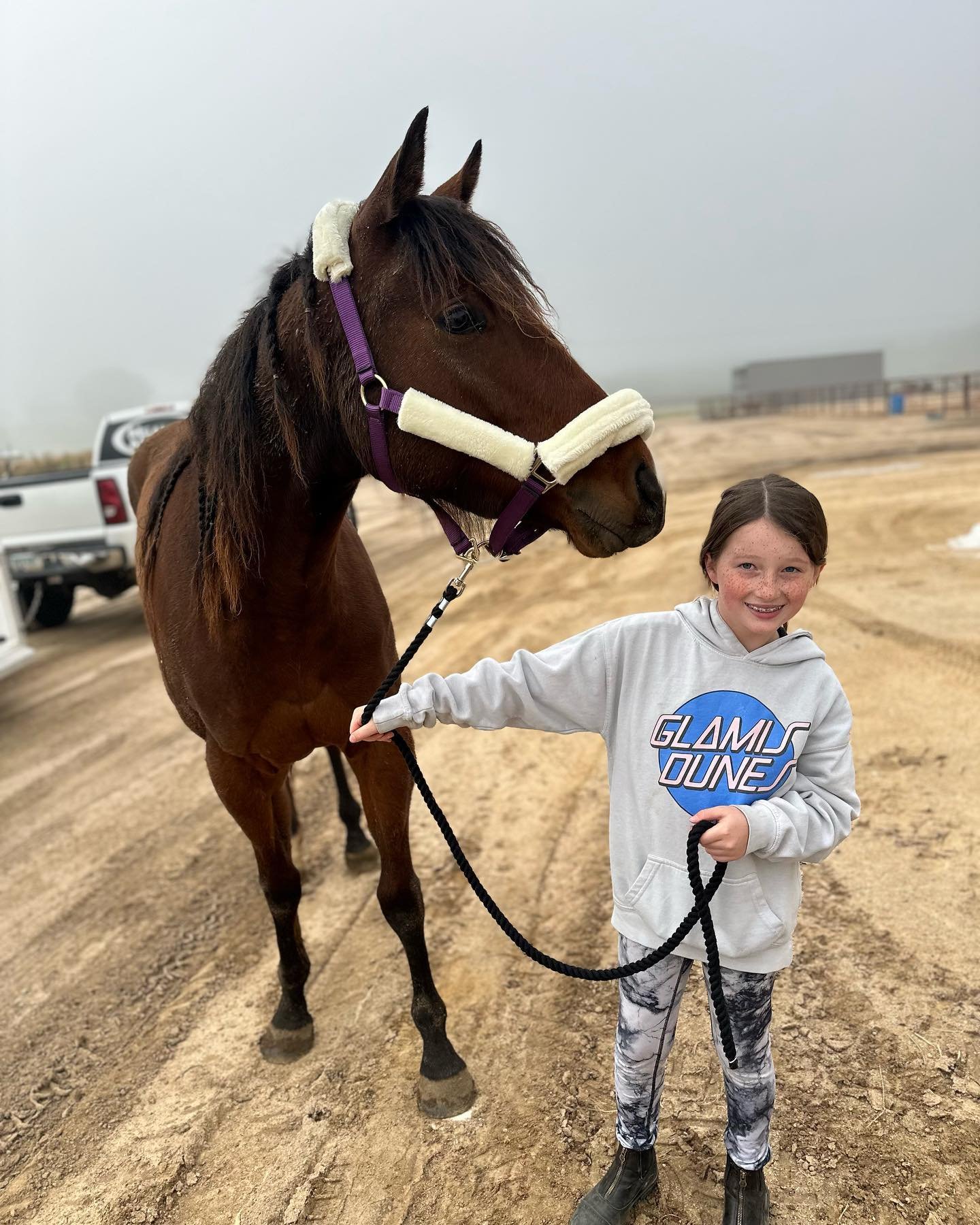 We have a new addition to our family. A 3 year old mare named Poppy 🥰