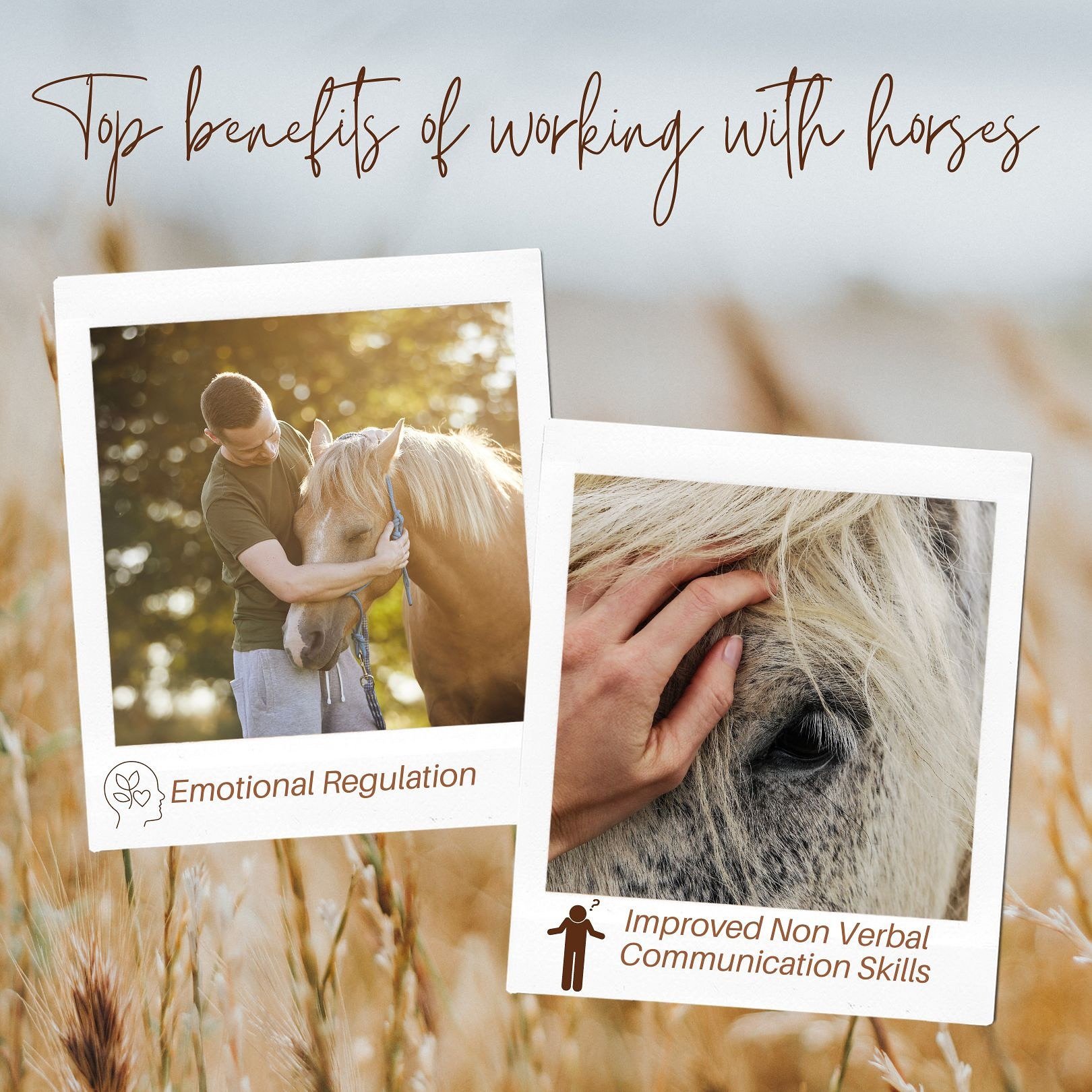 Discover the transformative power of working with horses! 🐎⁣Experience a deeper connection with yourself and others through the incredible emotional regulation and improved nonverbal communication skills that come from these majestic animals. Whethe