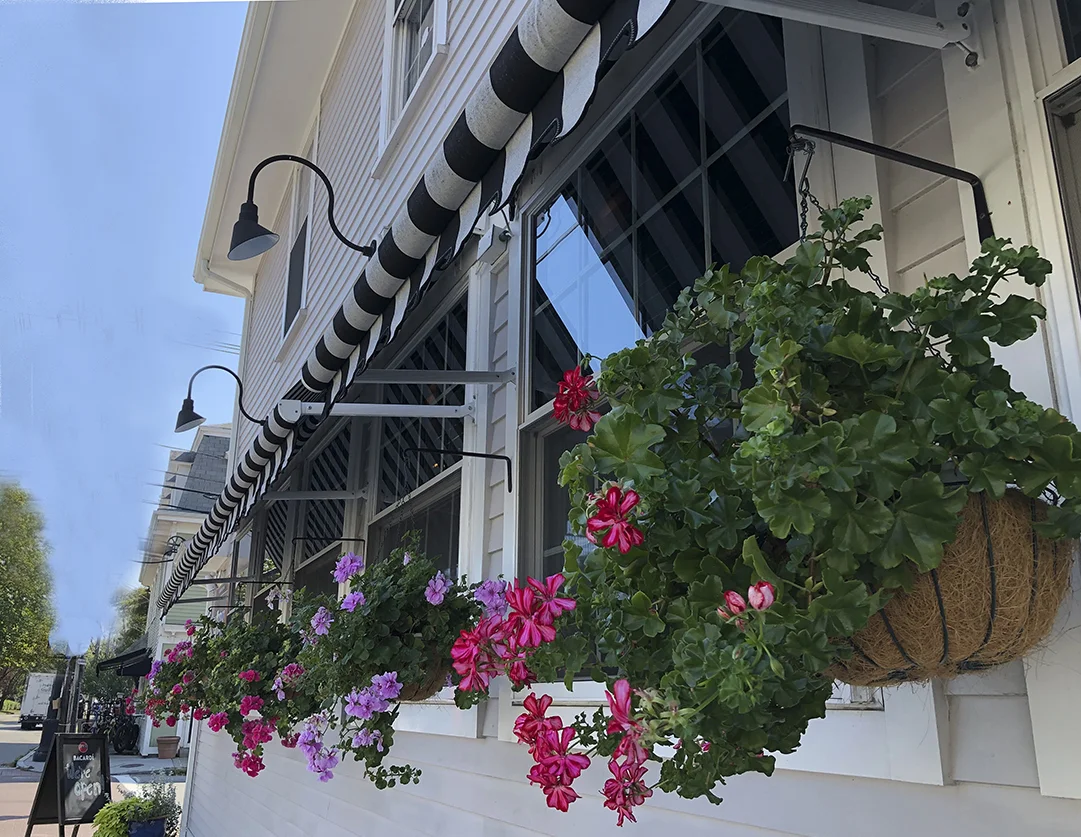 TavernAngleFlowers2018.jpg