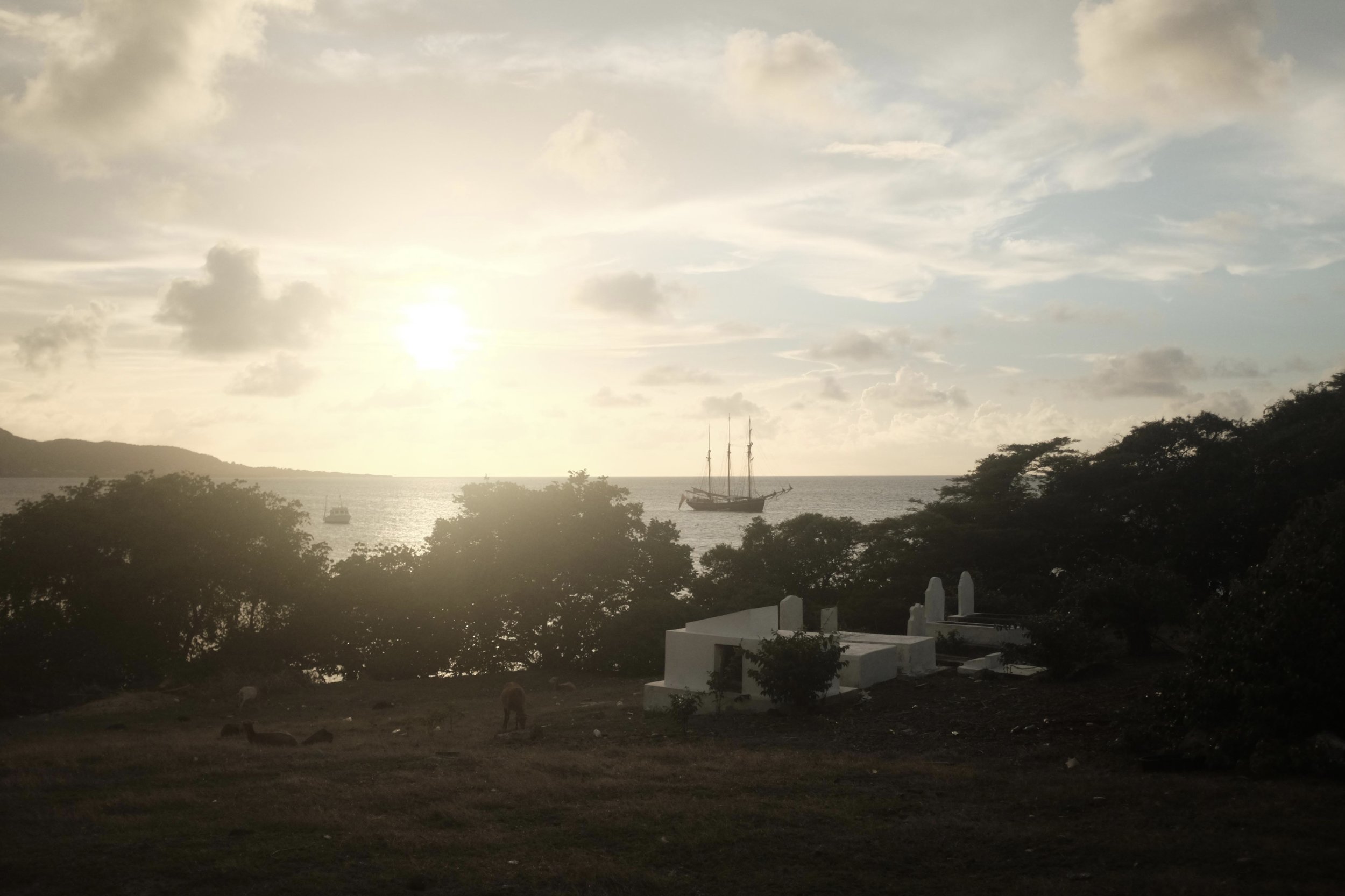 Sunset in Albert's bay