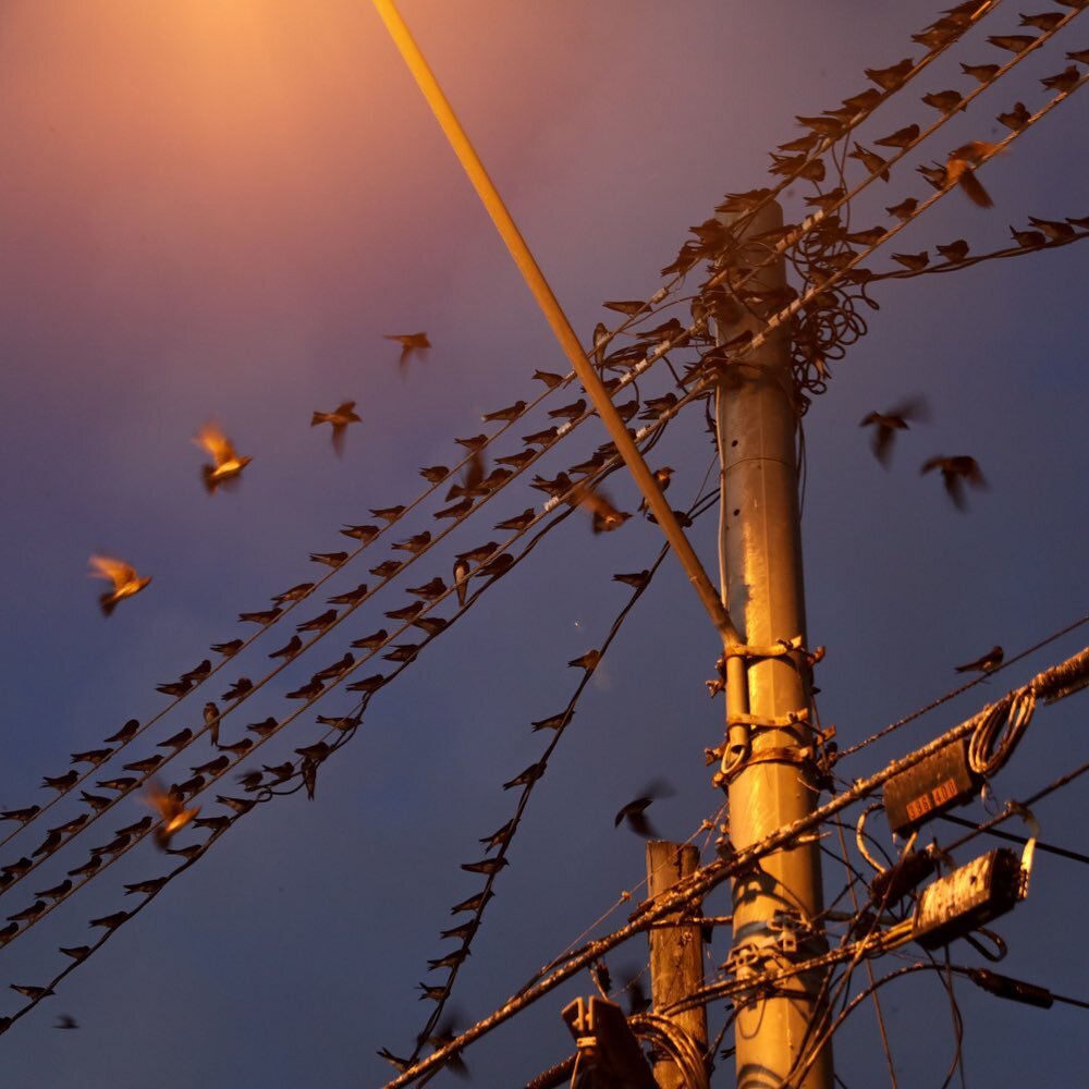 A bird in the hand or ample on a wire. Projects evolving, now expecting Activ to embark on her most amazing voyage in 2021.