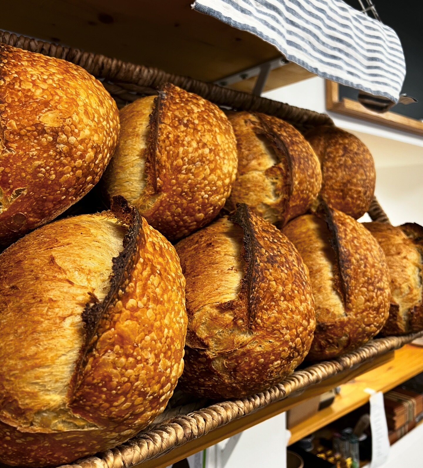 An artisan bread bakery in the heart of Winter Haven.
That&rsquo;s us 🥰