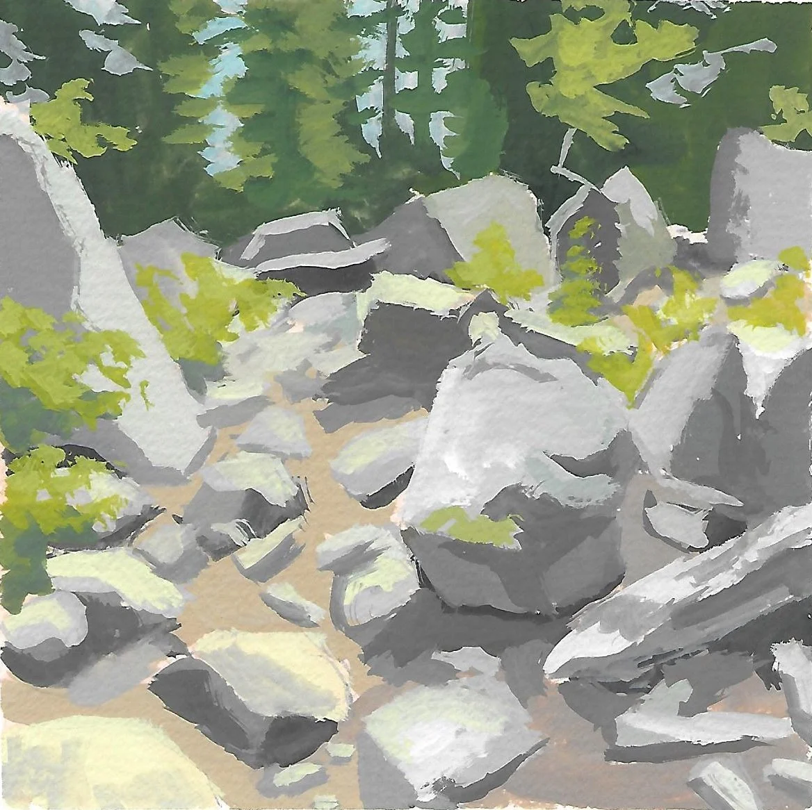 91.jpg