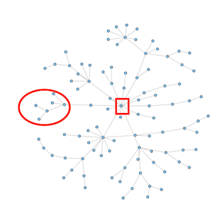 *Notice how transactions within the smaller node never reach the highly connected node in the center.