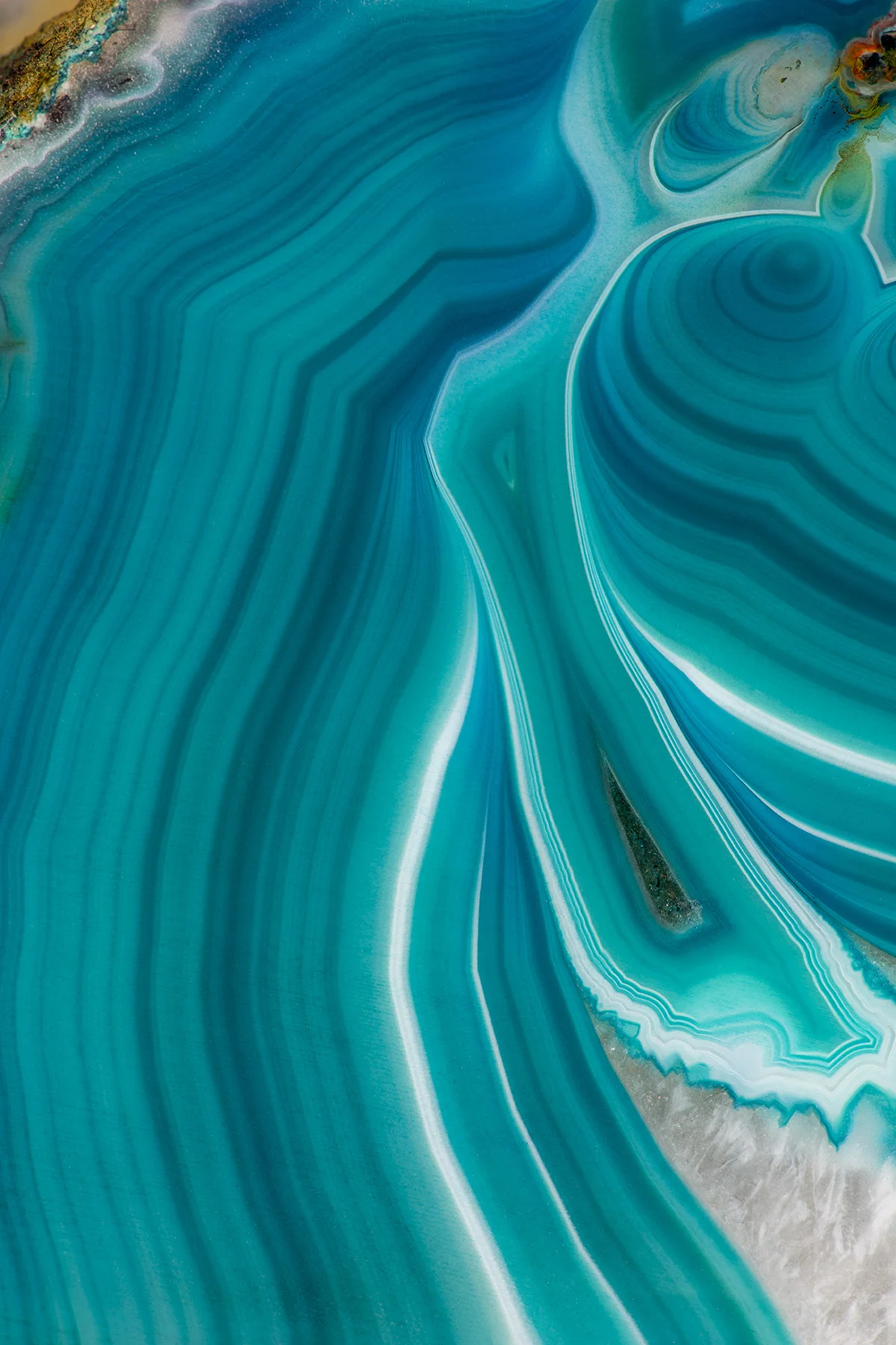 Tropical Coastline