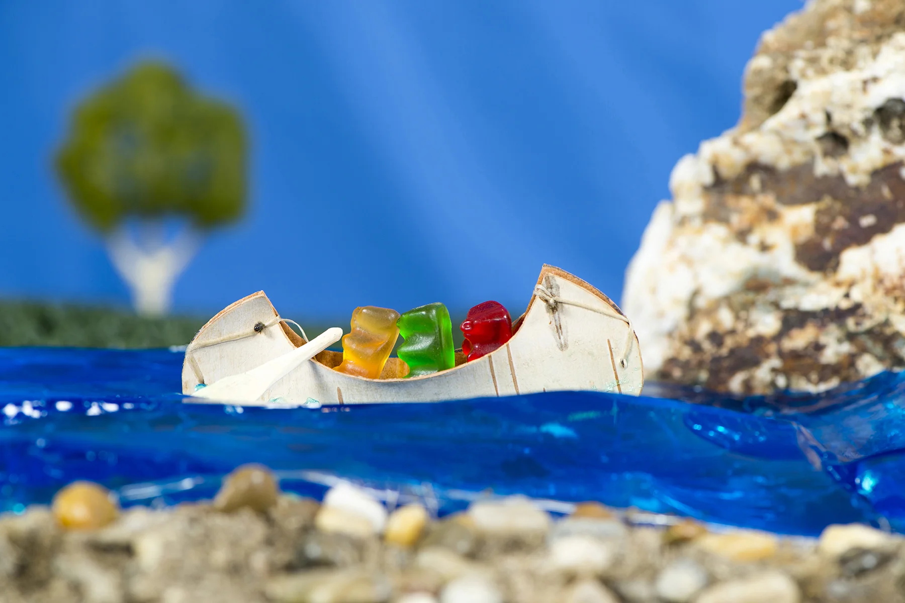 Canoeing Bears