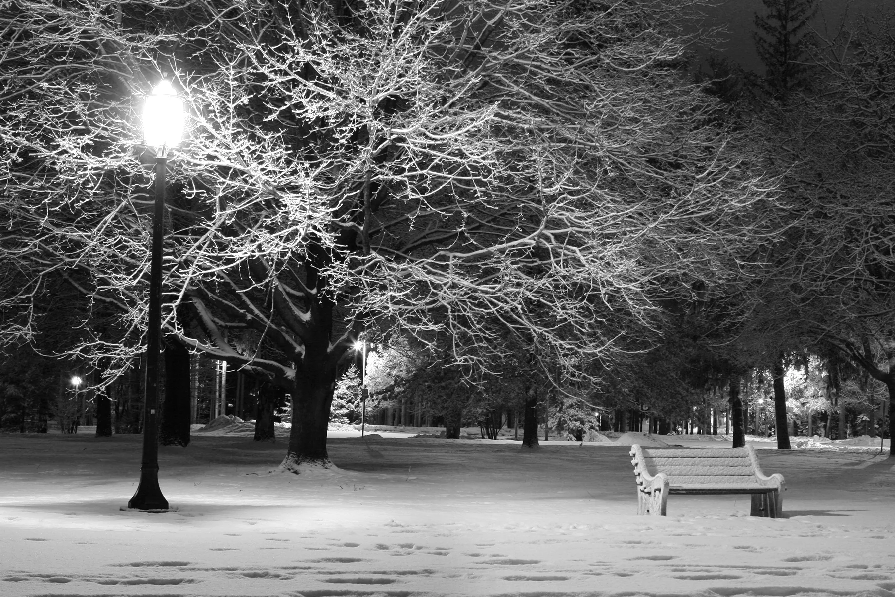Snowy Night