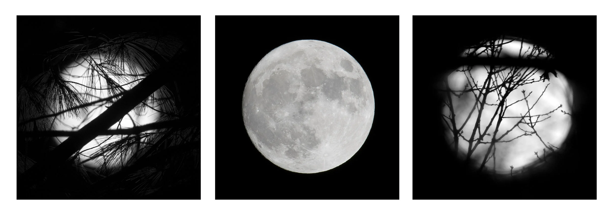 Supermoon