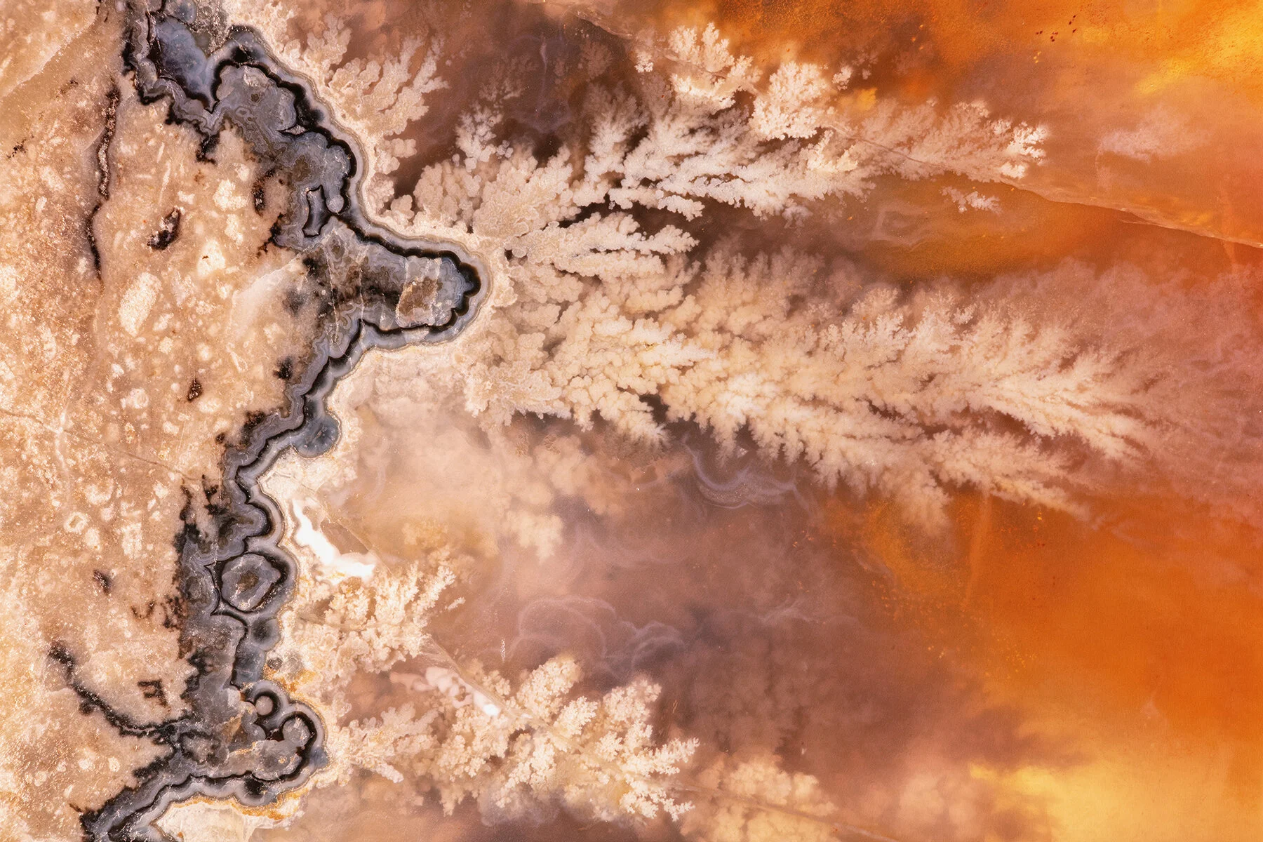 Alluvial Fan