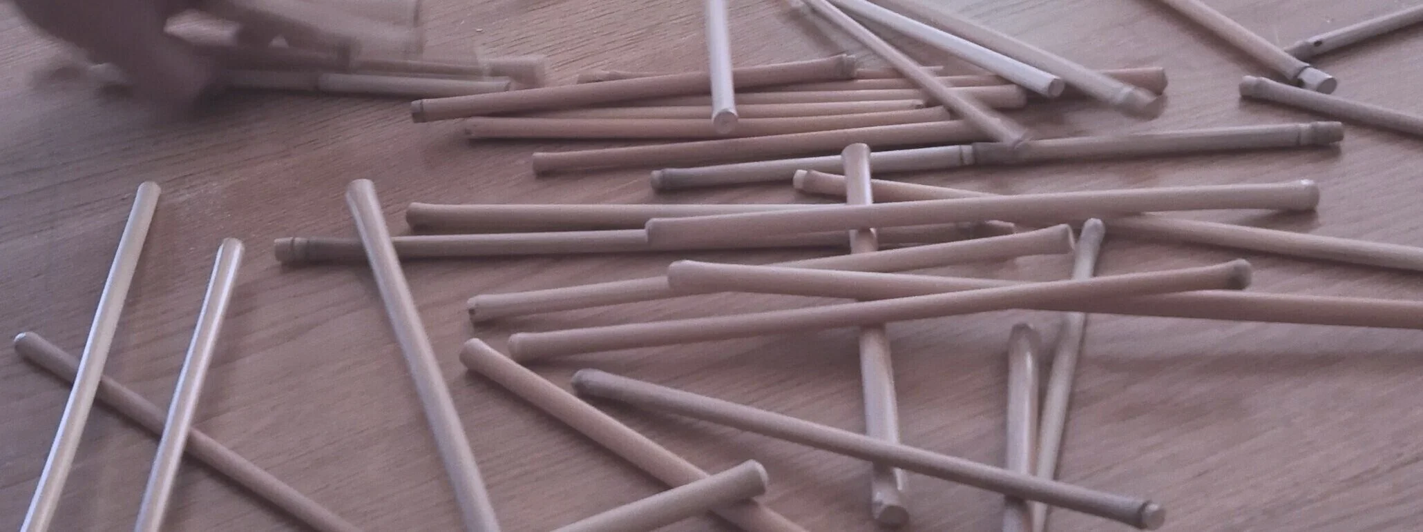elephant%25252Bgrass%25252Bsticks%25252B2.jpg