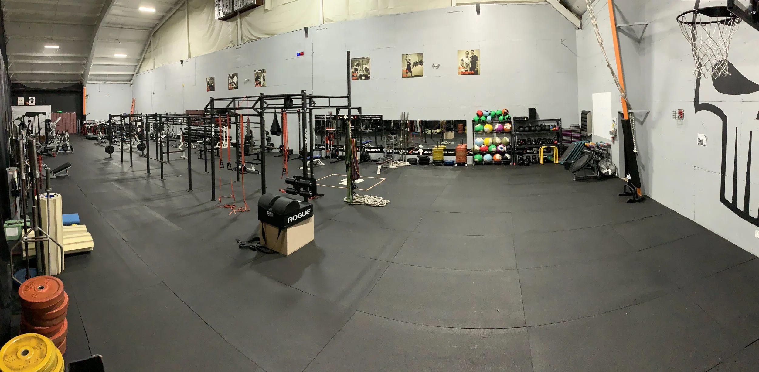 Nex Level Sports & Fitness