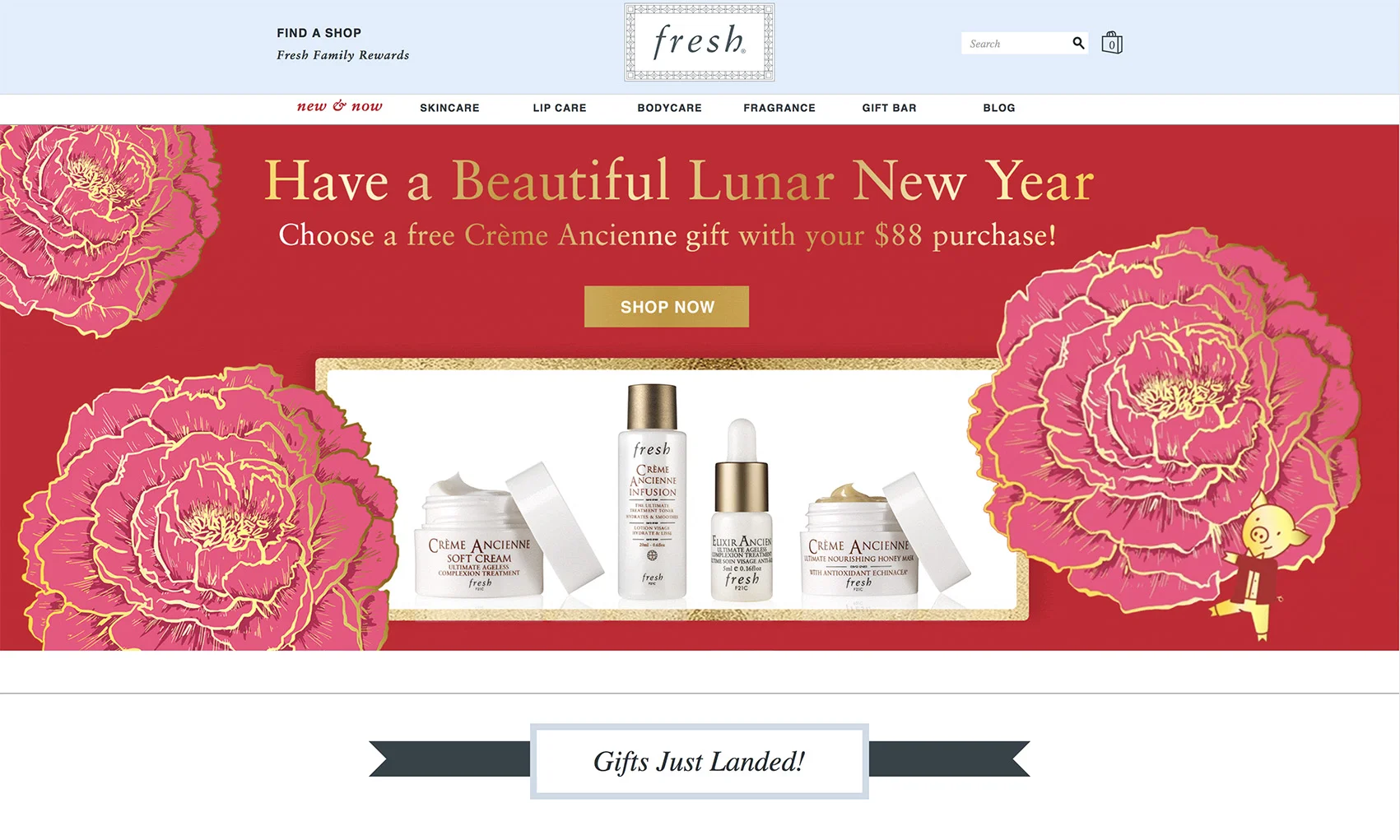 Screen Shot 2019-01-28 at 11.23.12 AM copy.jpg