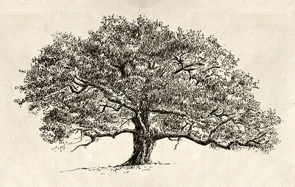 Artboard 12_2 copy.jpg