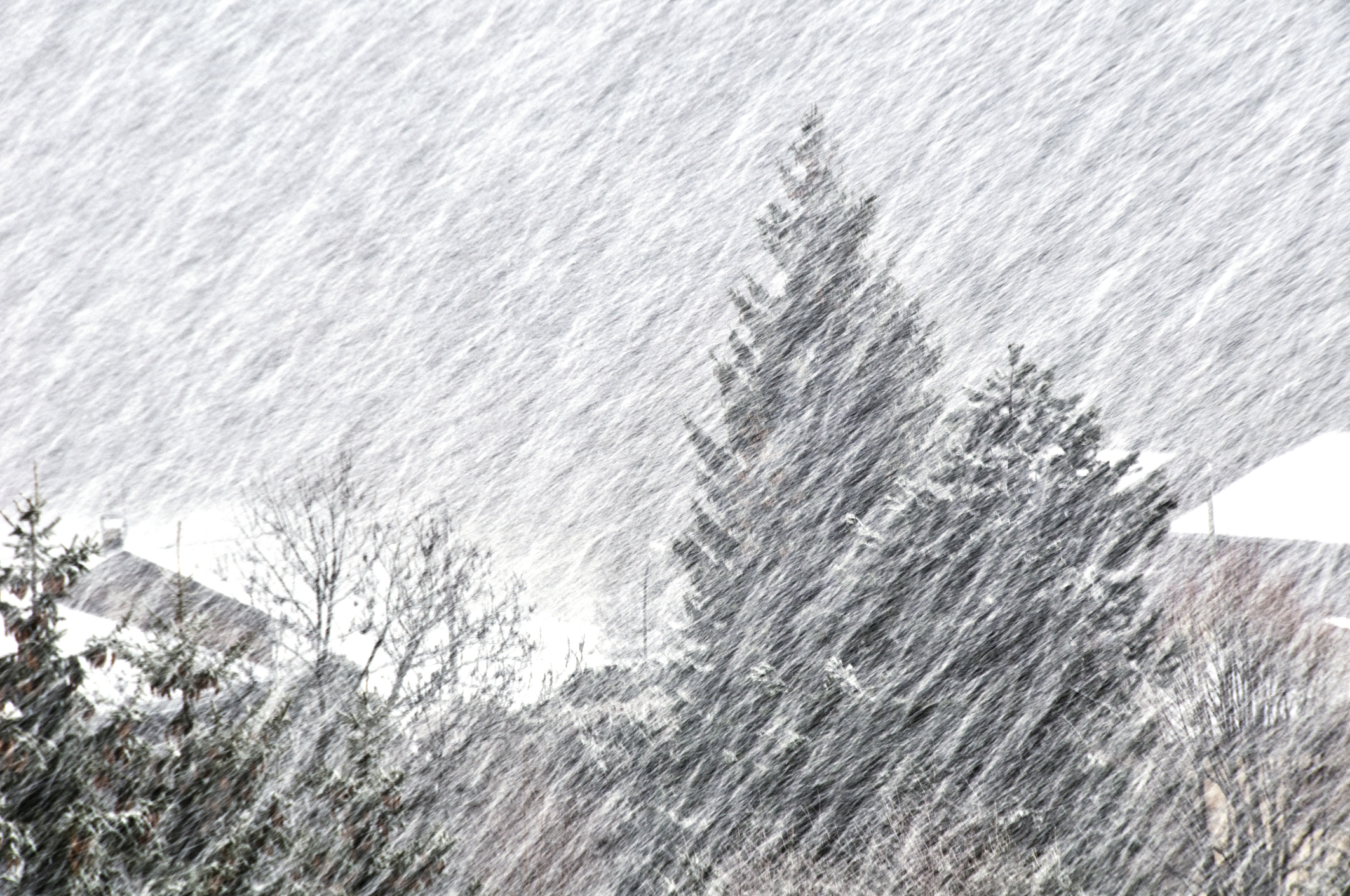 Photo by pjgs/iStock / Getty Images