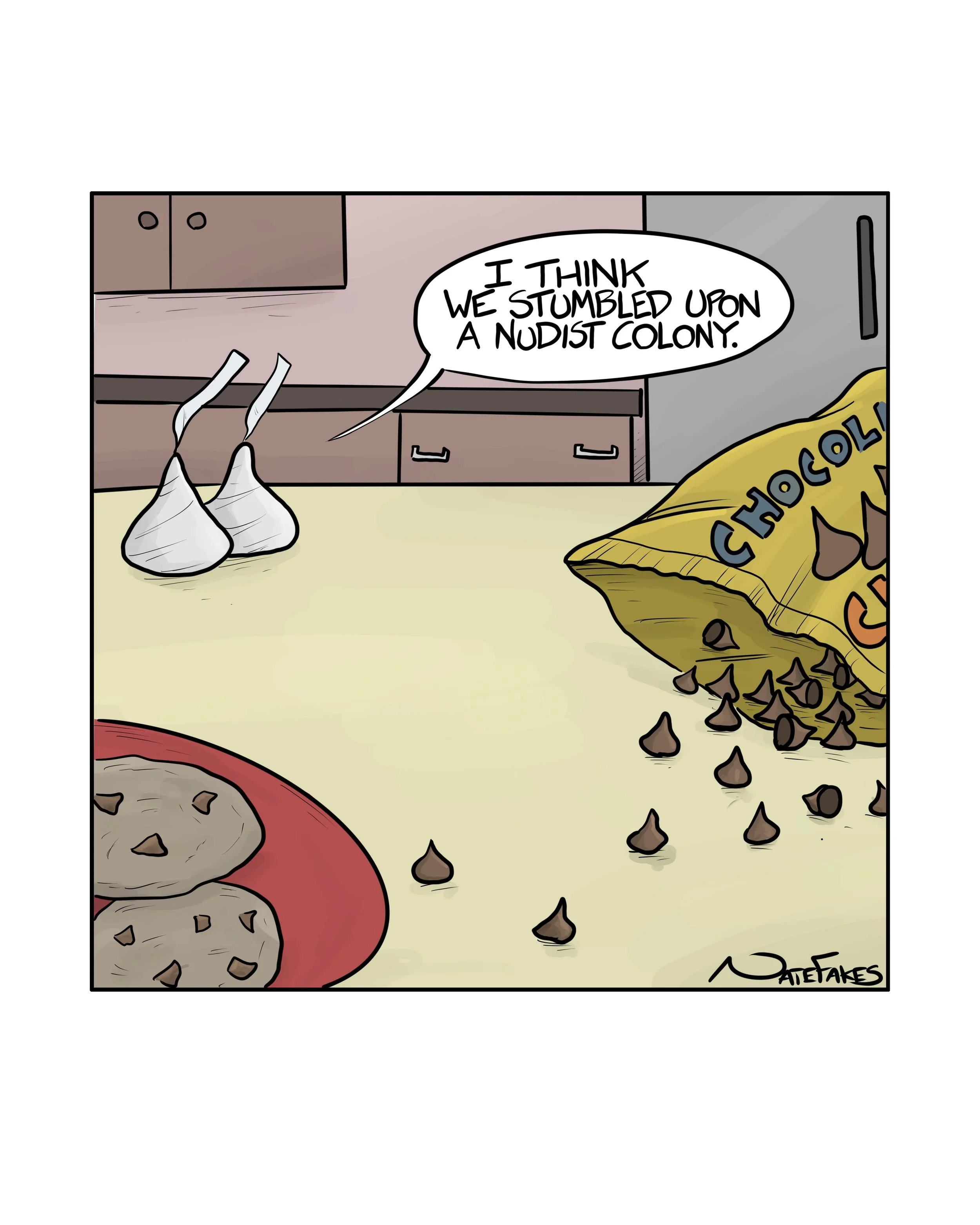 Chocolate Chip Nudist.jpg