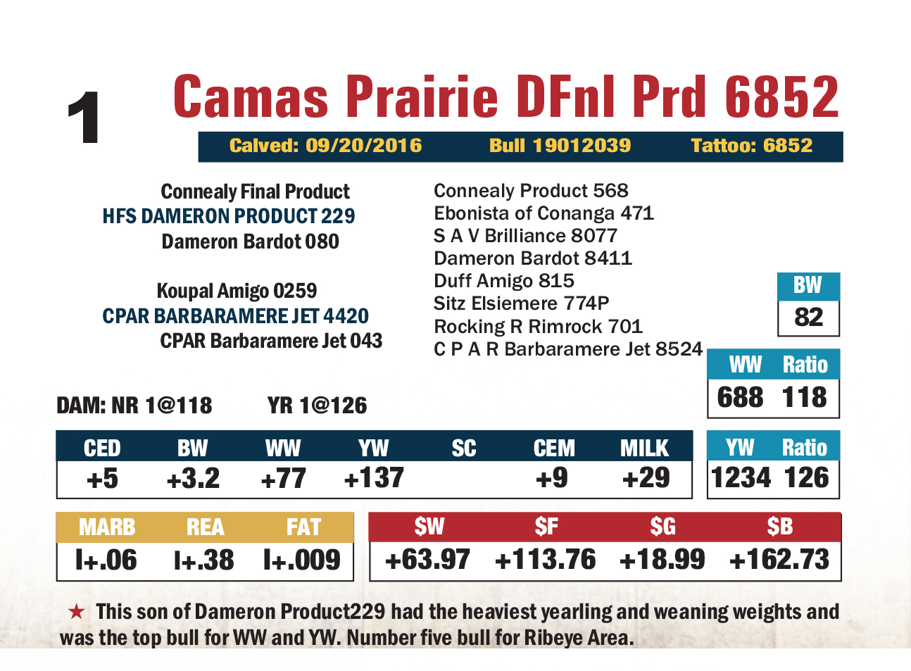 CPAR-04.jpg