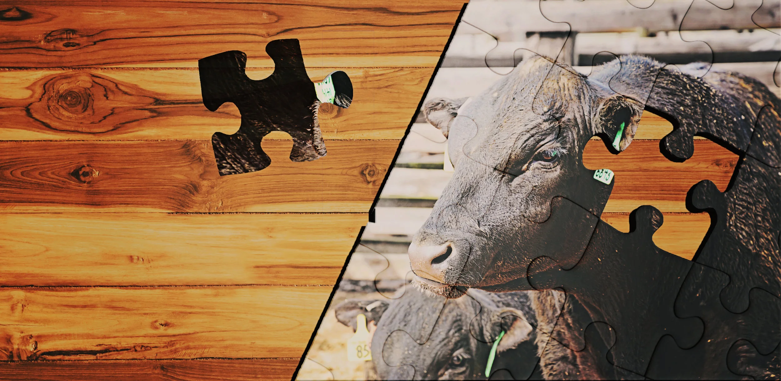 puzzle attempt2.jpg