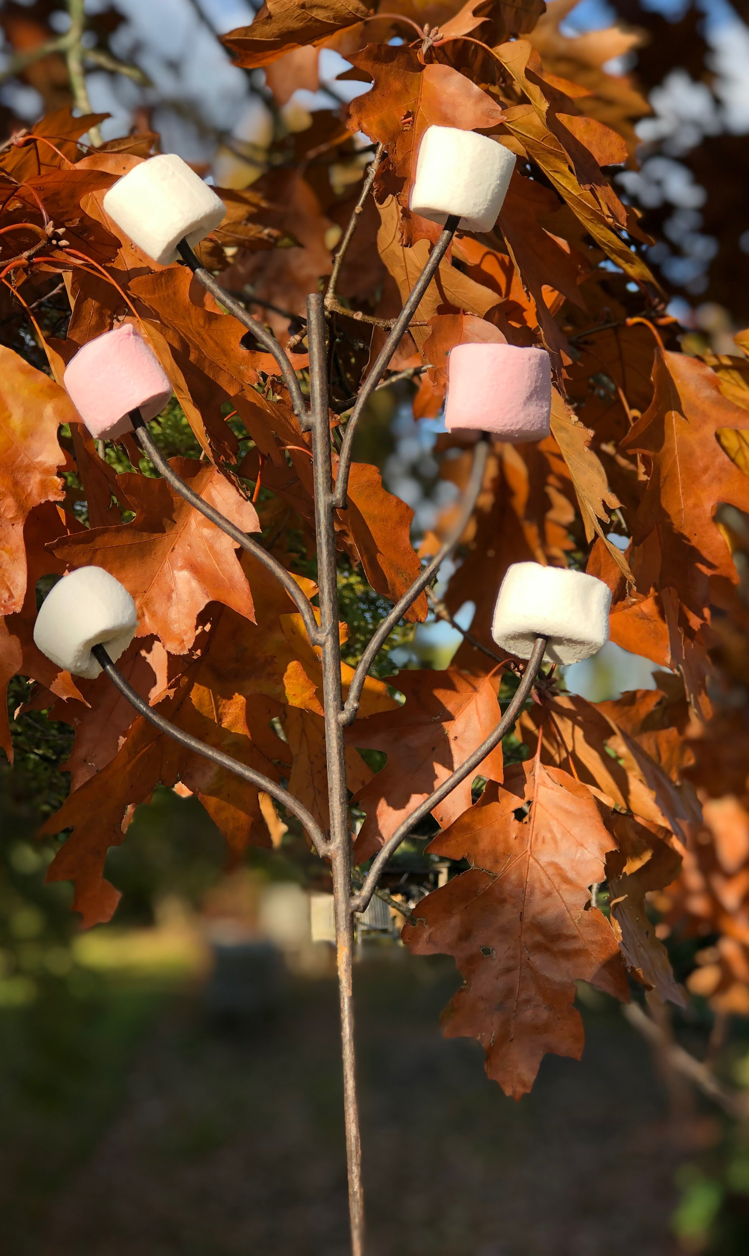 Marshmallow Fork1.jpg