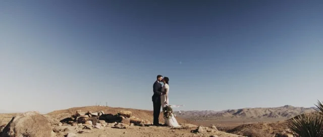 Zan and Zac's Elopement // Joshua Tree National Park