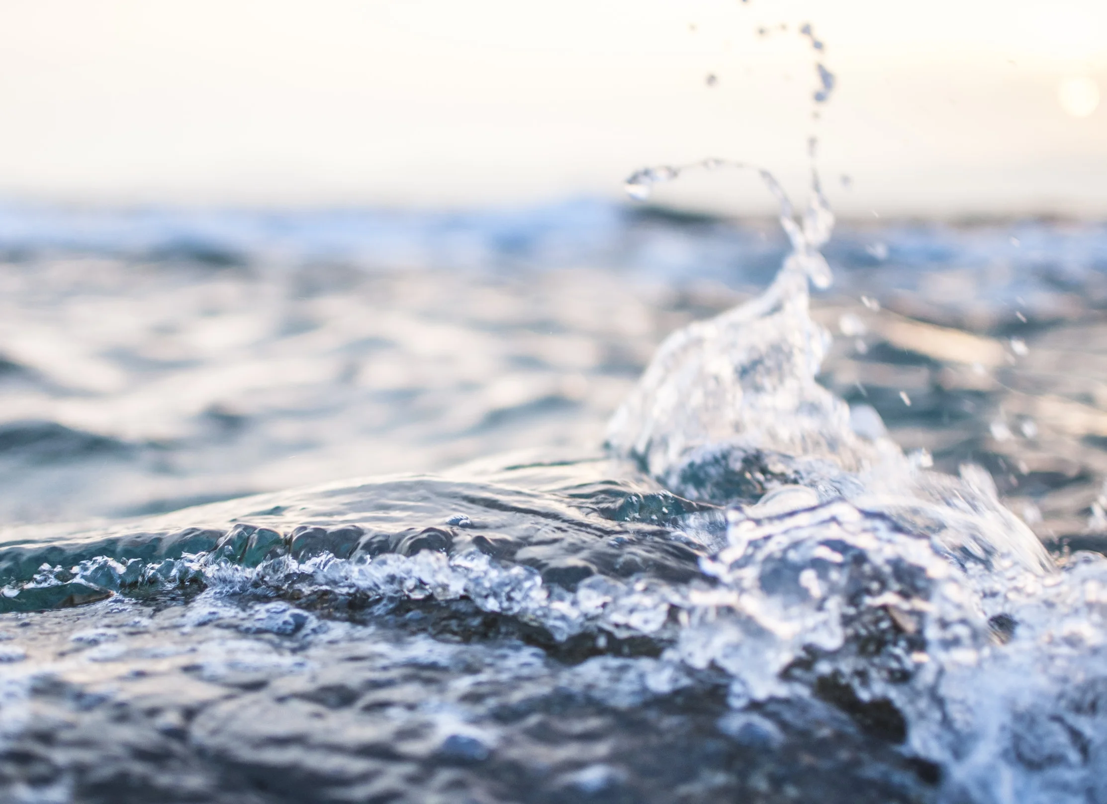 Body Dialoging For the Organs: Kidneys, Adrenals, Bladder, Stomach & Pancreas