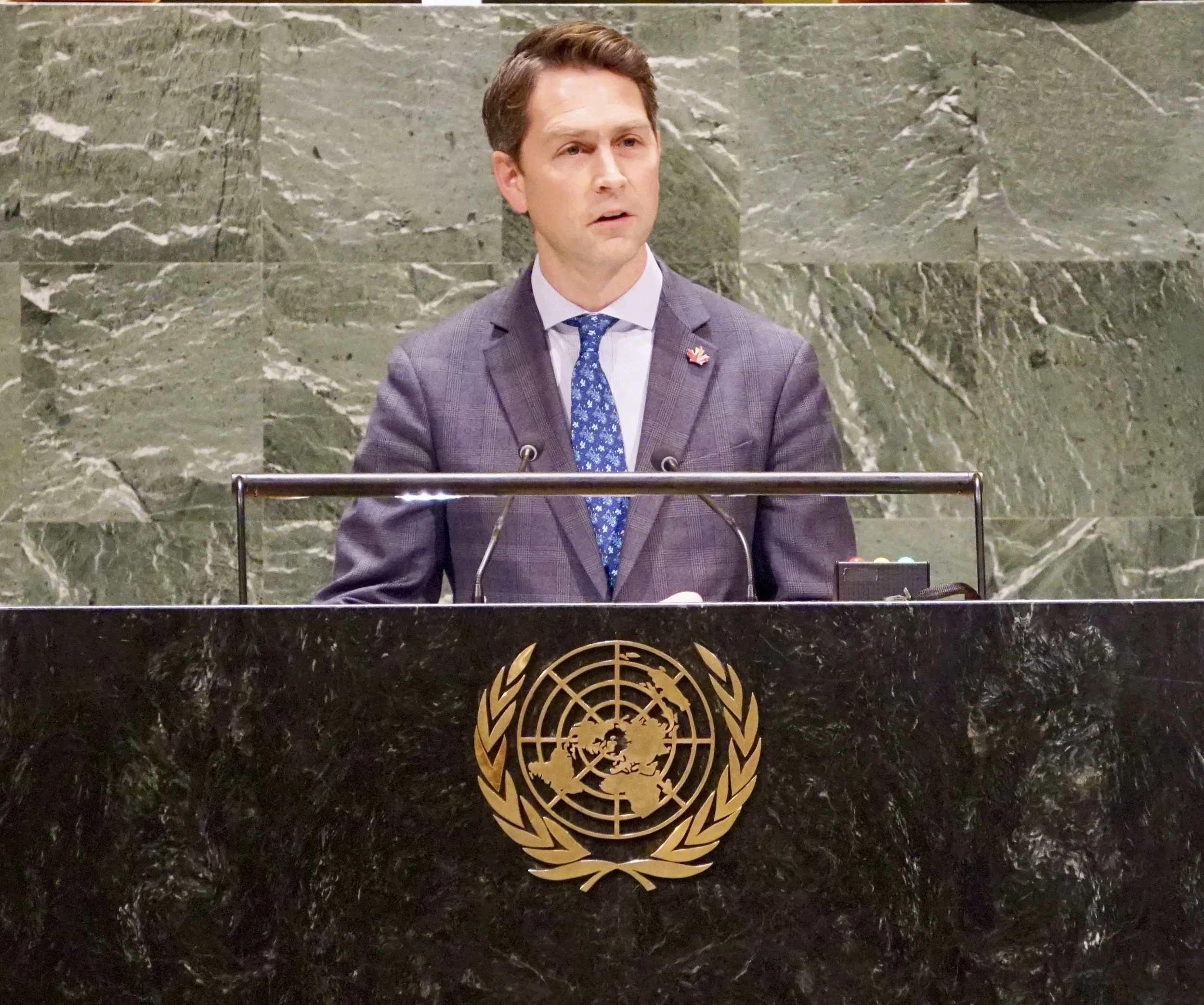 Will Amos United Nations