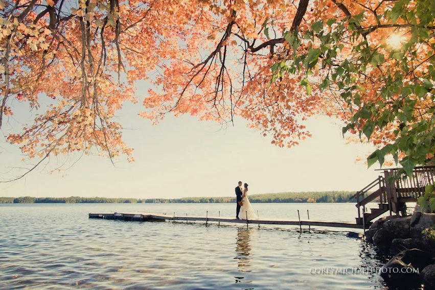 dock and leaves.jpg