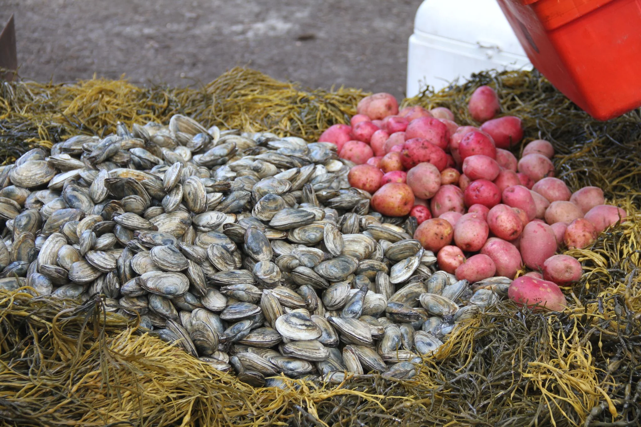Hailey Wedding 2012 616_preview.jpeg