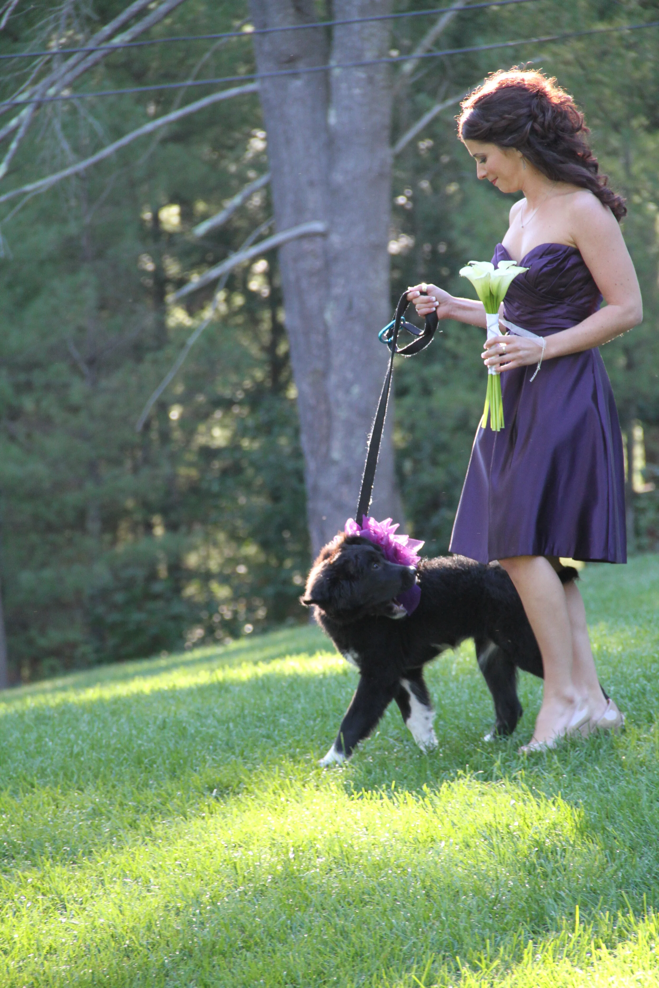 Clements Beal Wedding_6849.JPG