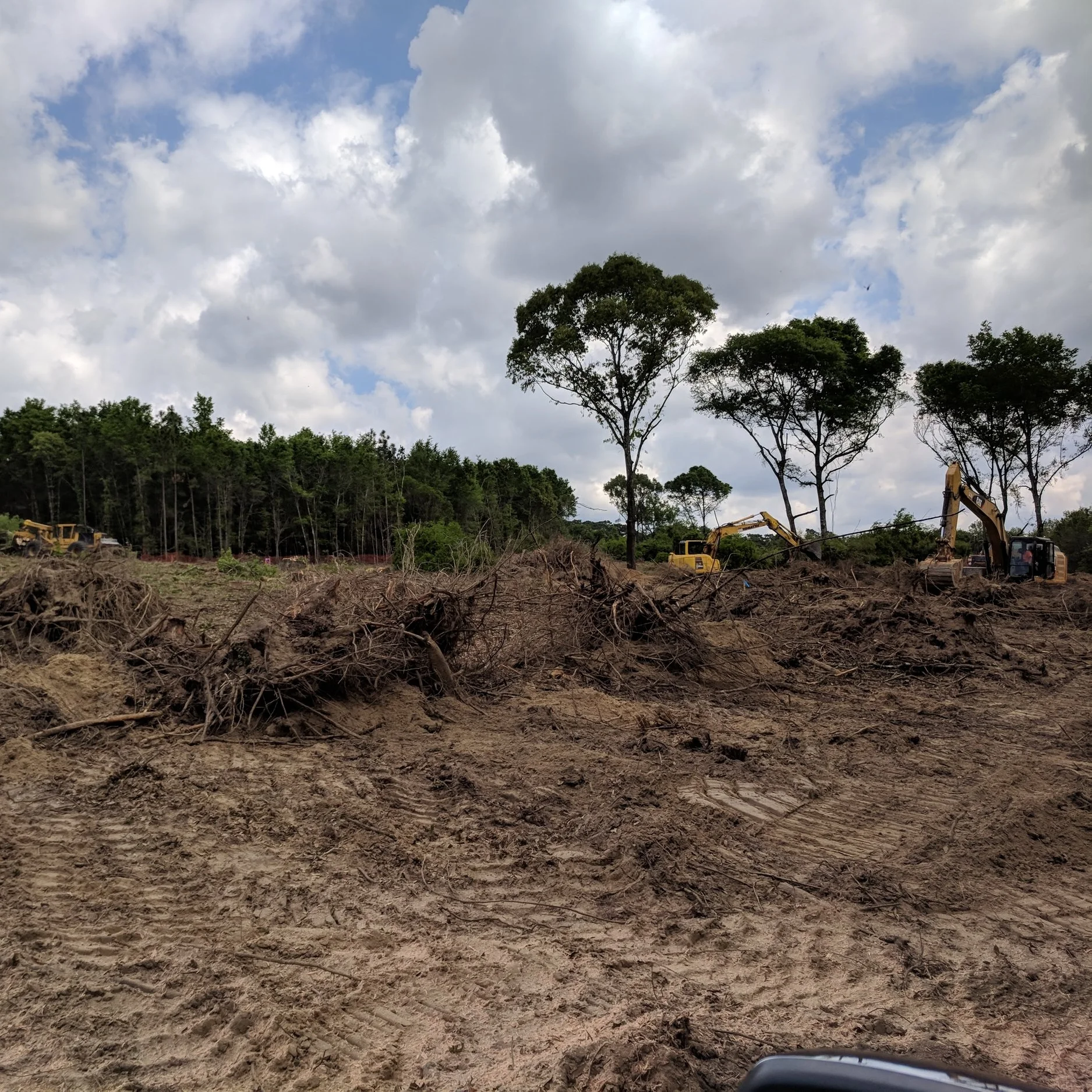 Land Clearing