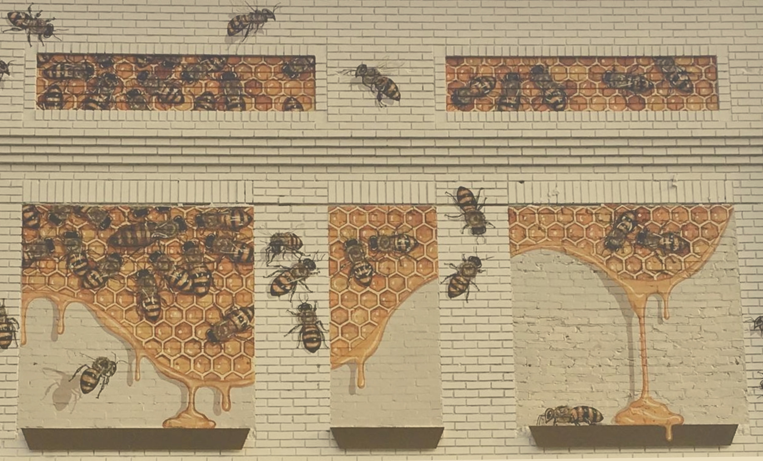 HiveExteriorYelloow-02.jpg