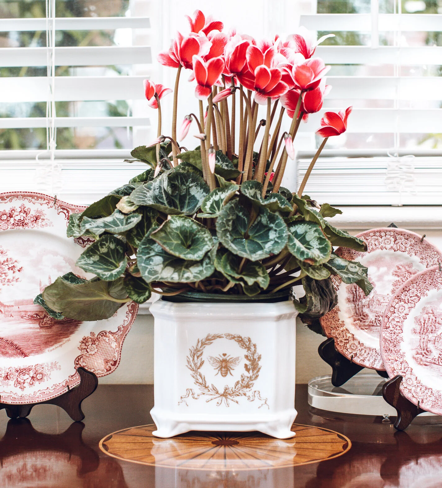 The Hive Porcelain Square Cachepot