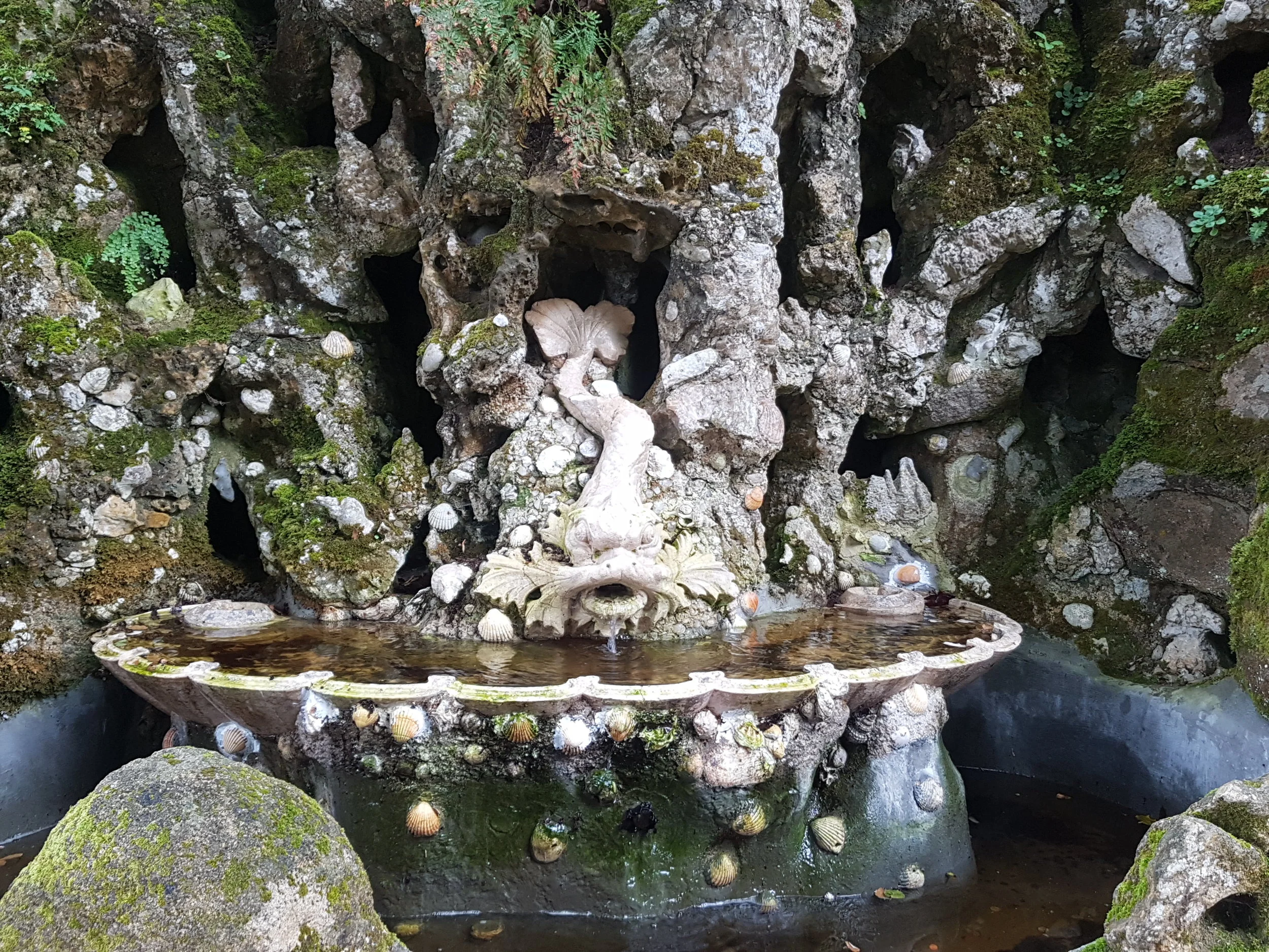 20180615_094427.jpg