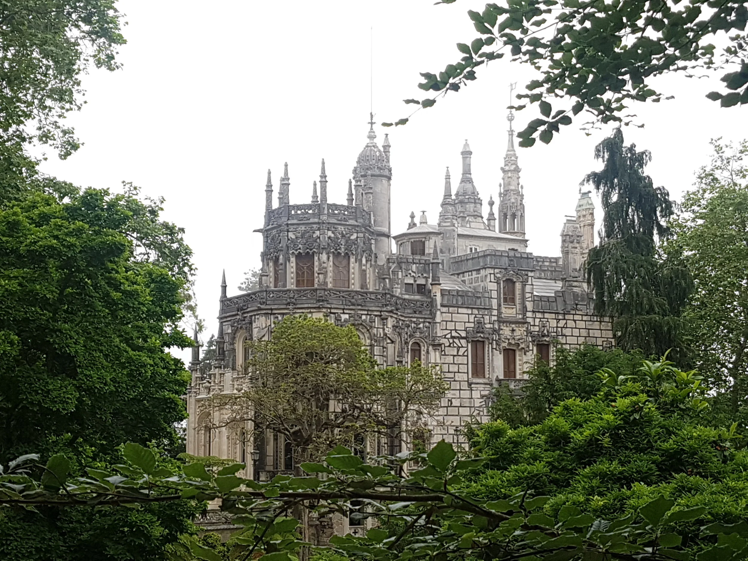 20180615_102933.jpg