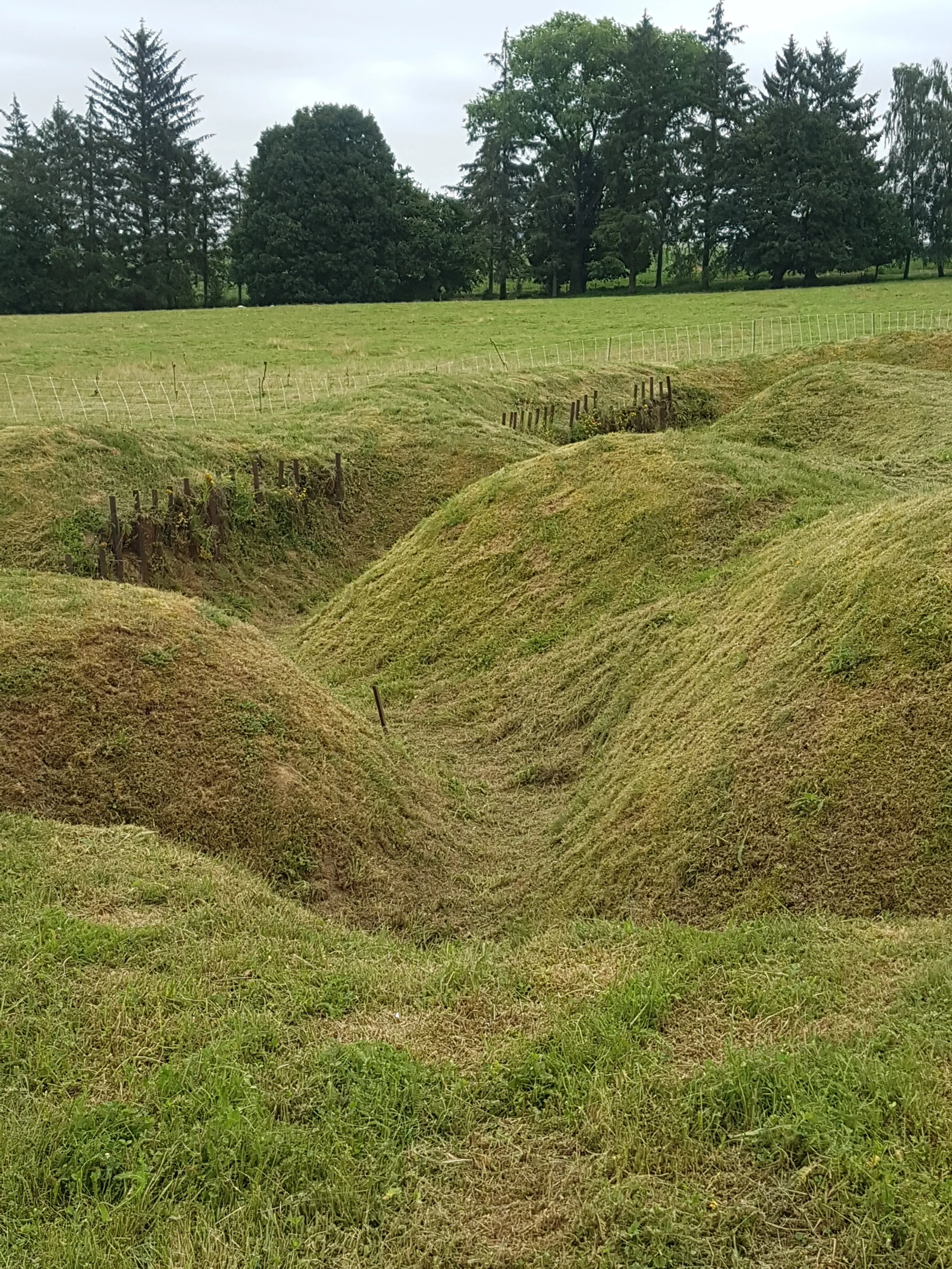 20180620_123158.jpg