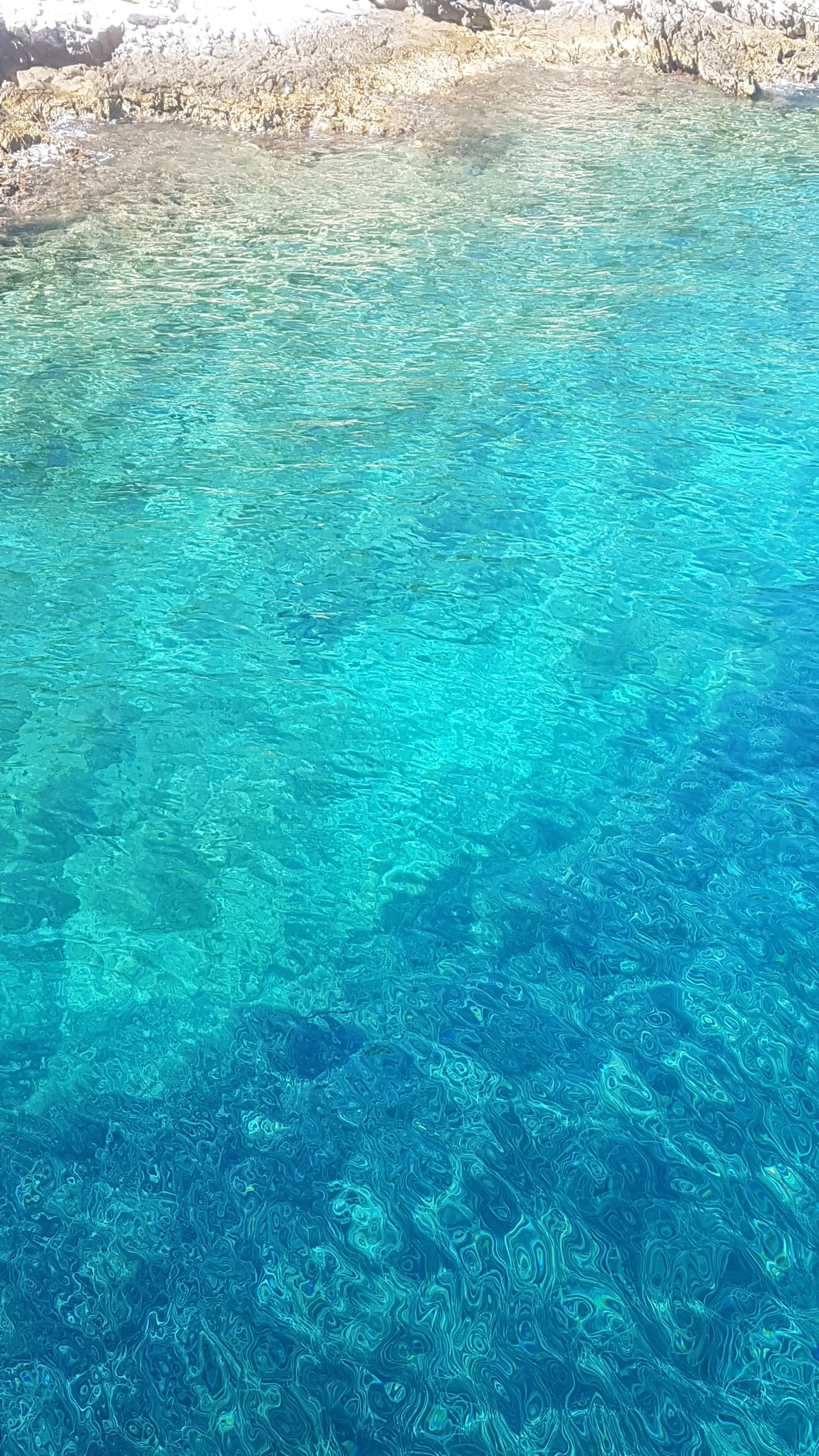 20180912_114941.jpg